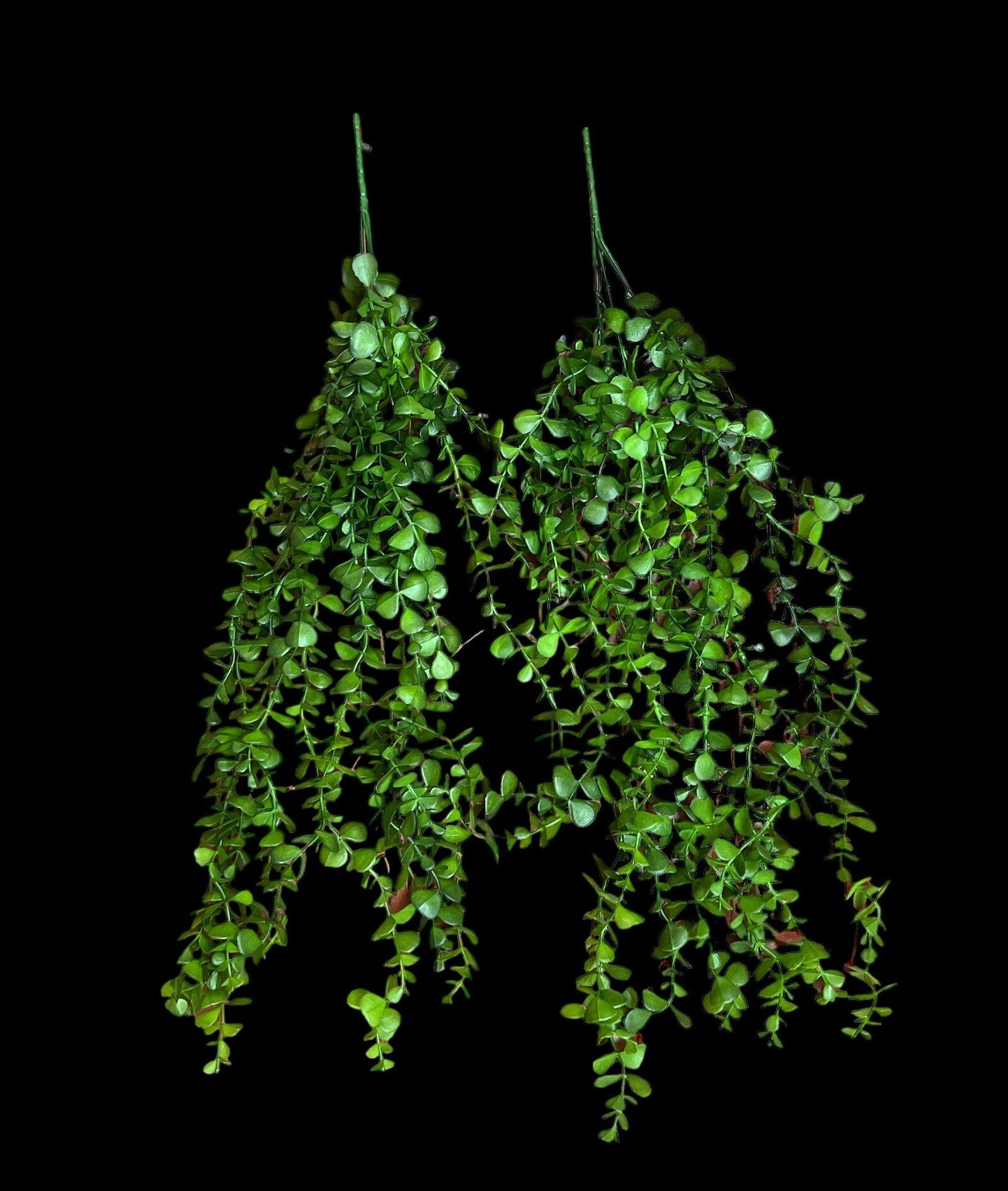 buchet-frunzulite-mari-si-mici-2set