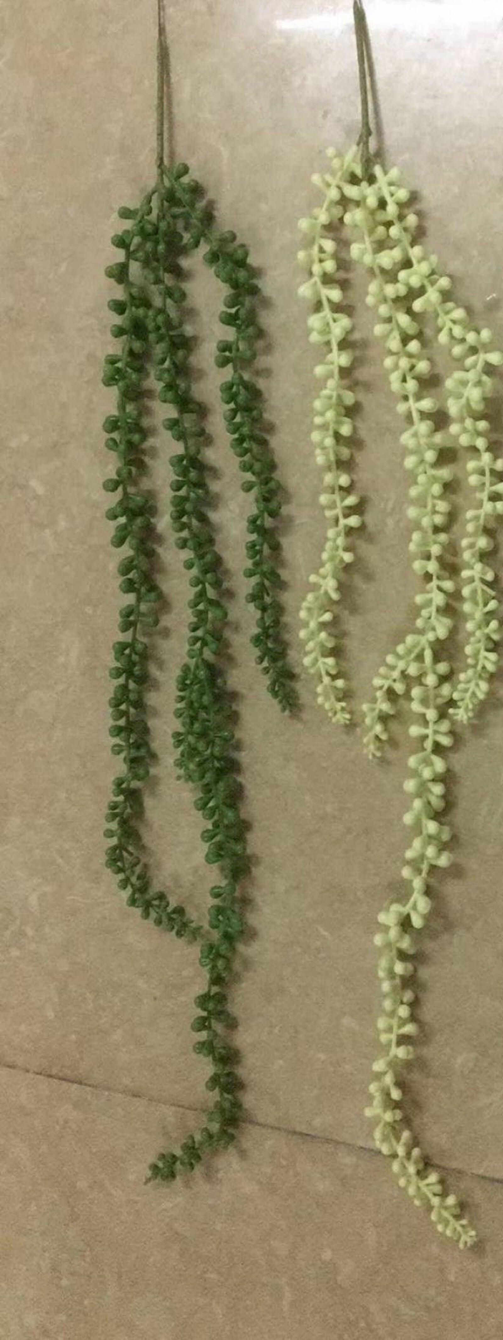 buchet-planta-ornamentala