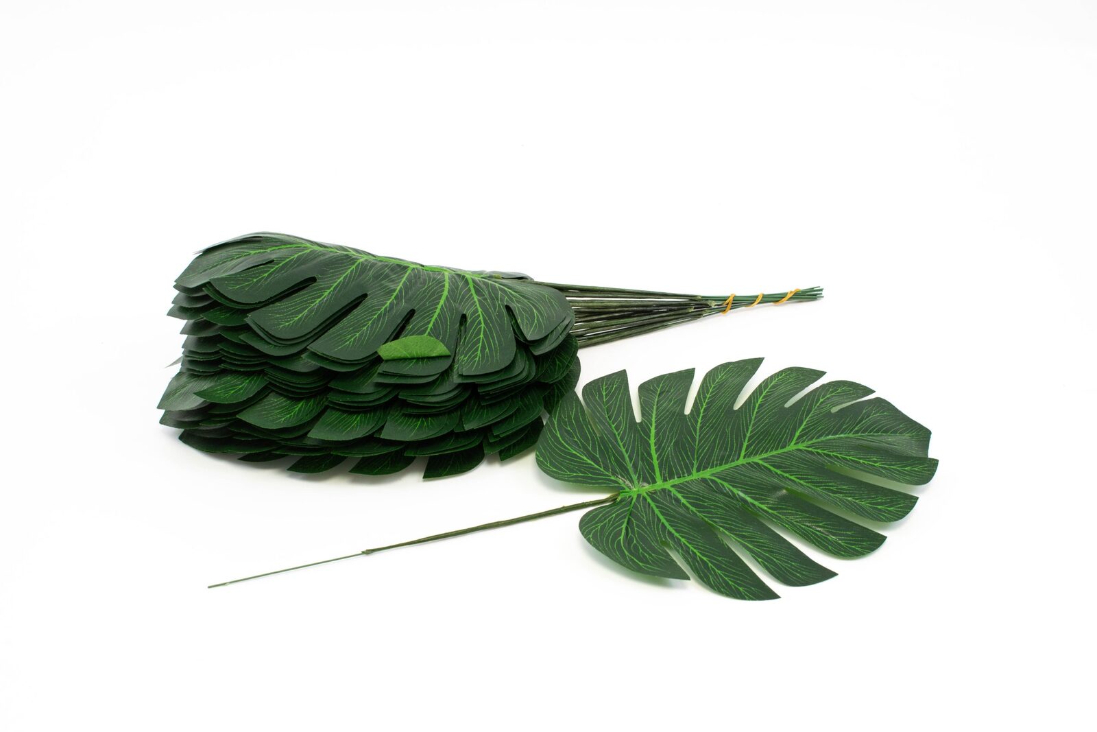 frunze-filodendron-22cm-12set