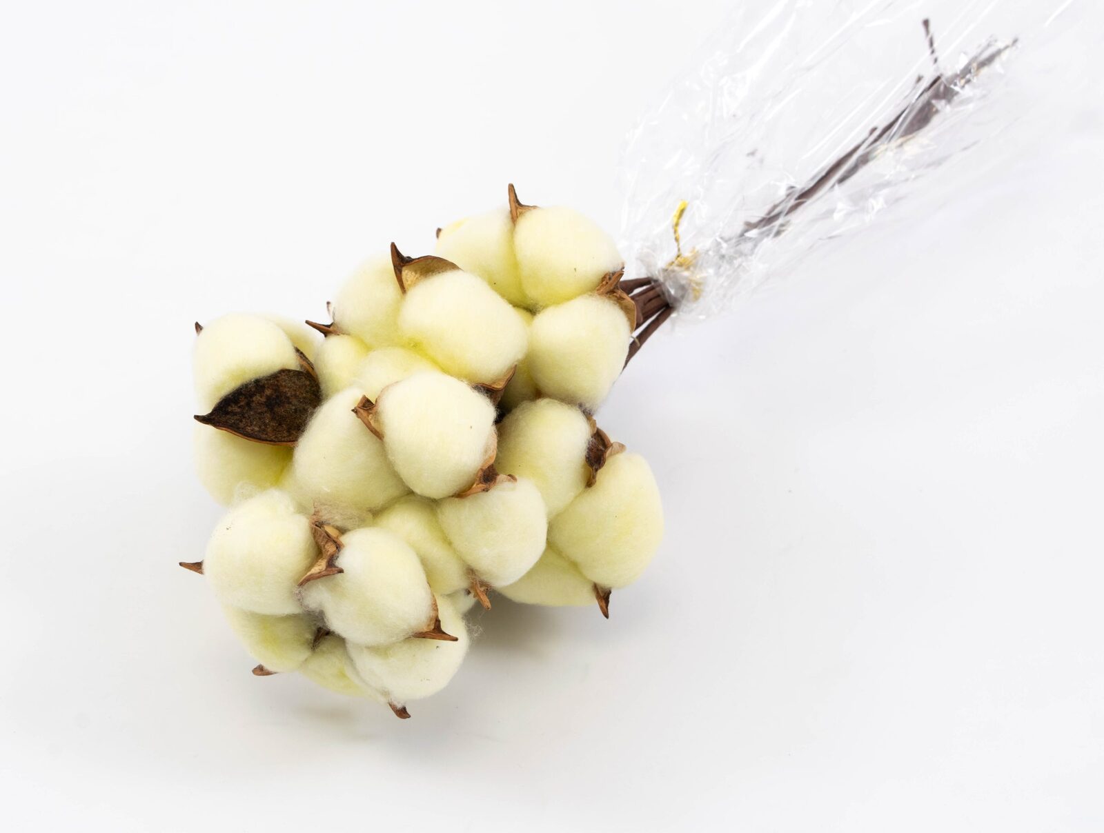 flori-bumbac-10set-galben-pai-sarma-lunga