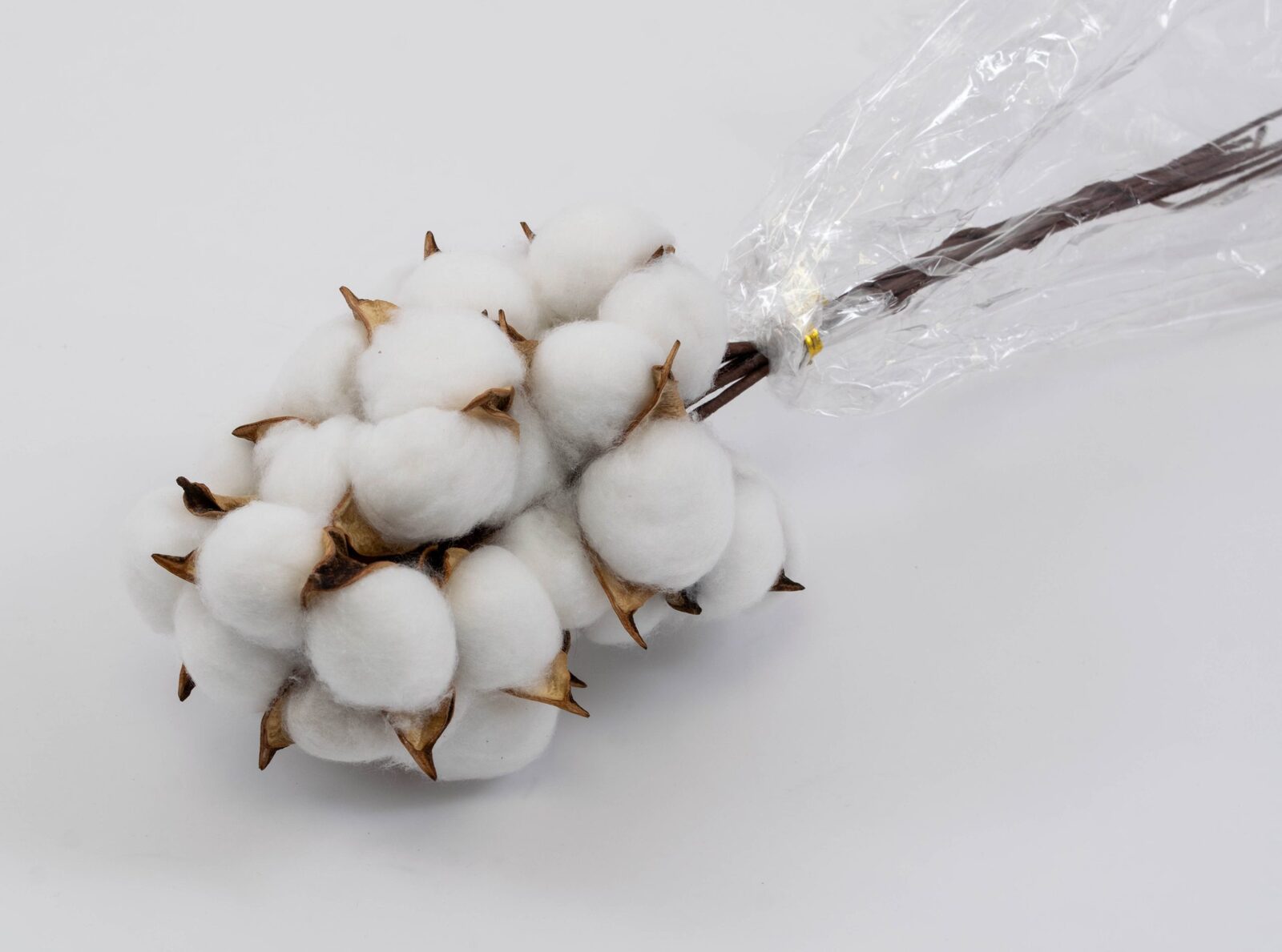 flori-bumbac-10set-alb-sarma-lunga