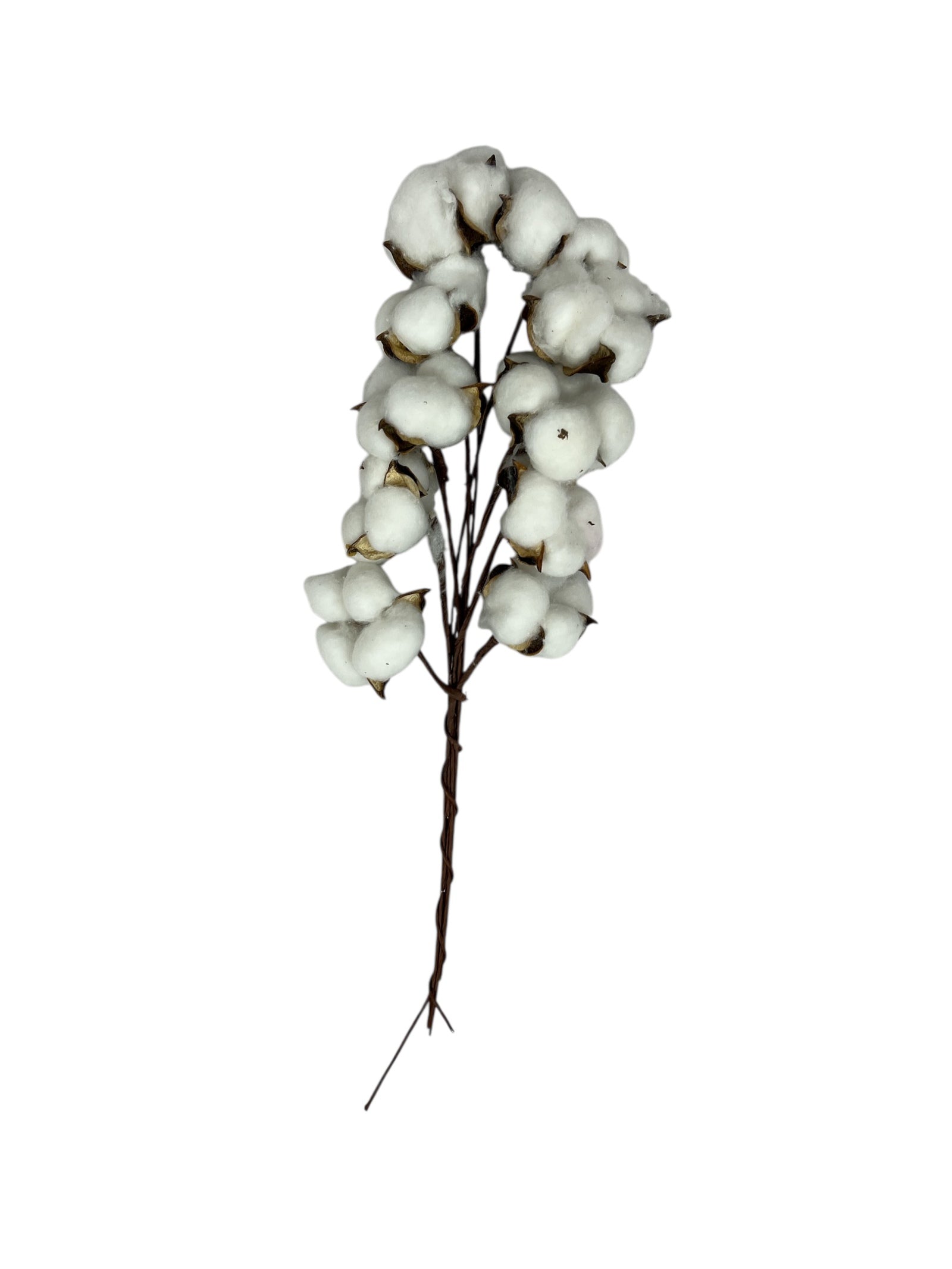 Photoroom_20250612_161748 2