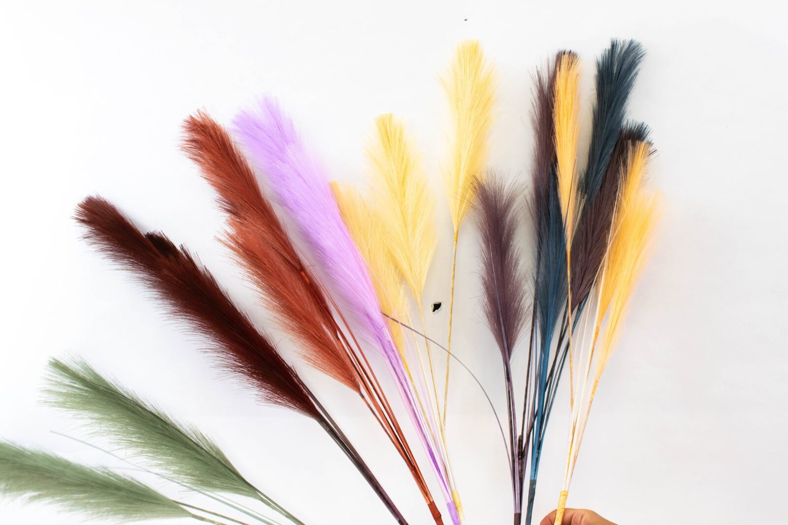 pampas-iarba-iartificiala-01