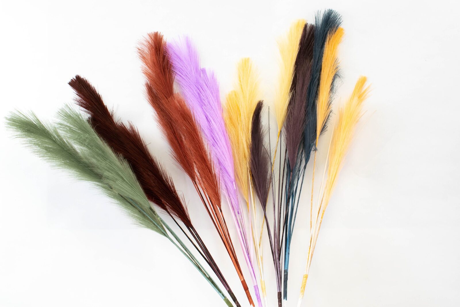 pampas-iarba-iartificiala-01