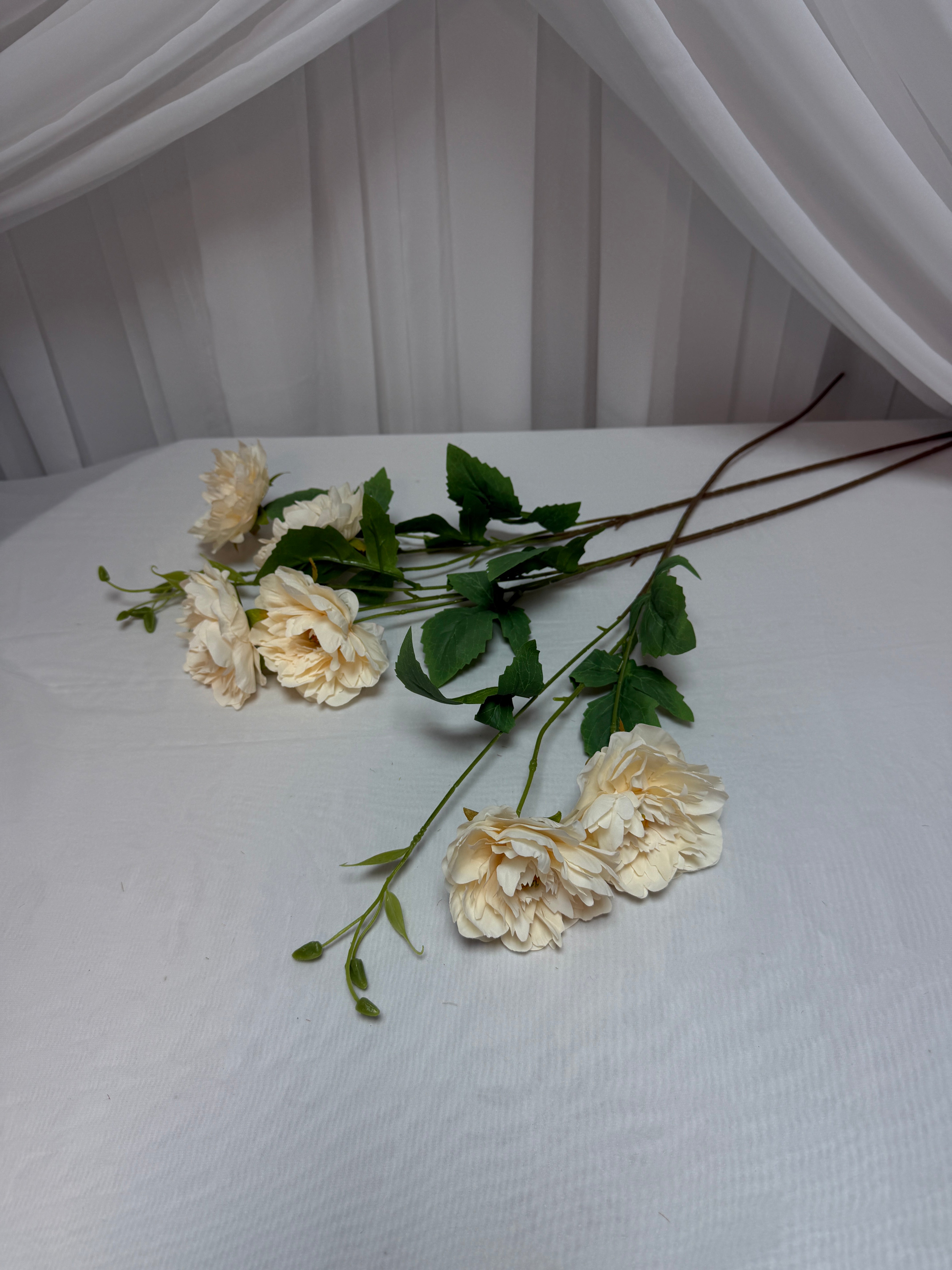 Bujori Fir 2 Flori si Bobocei