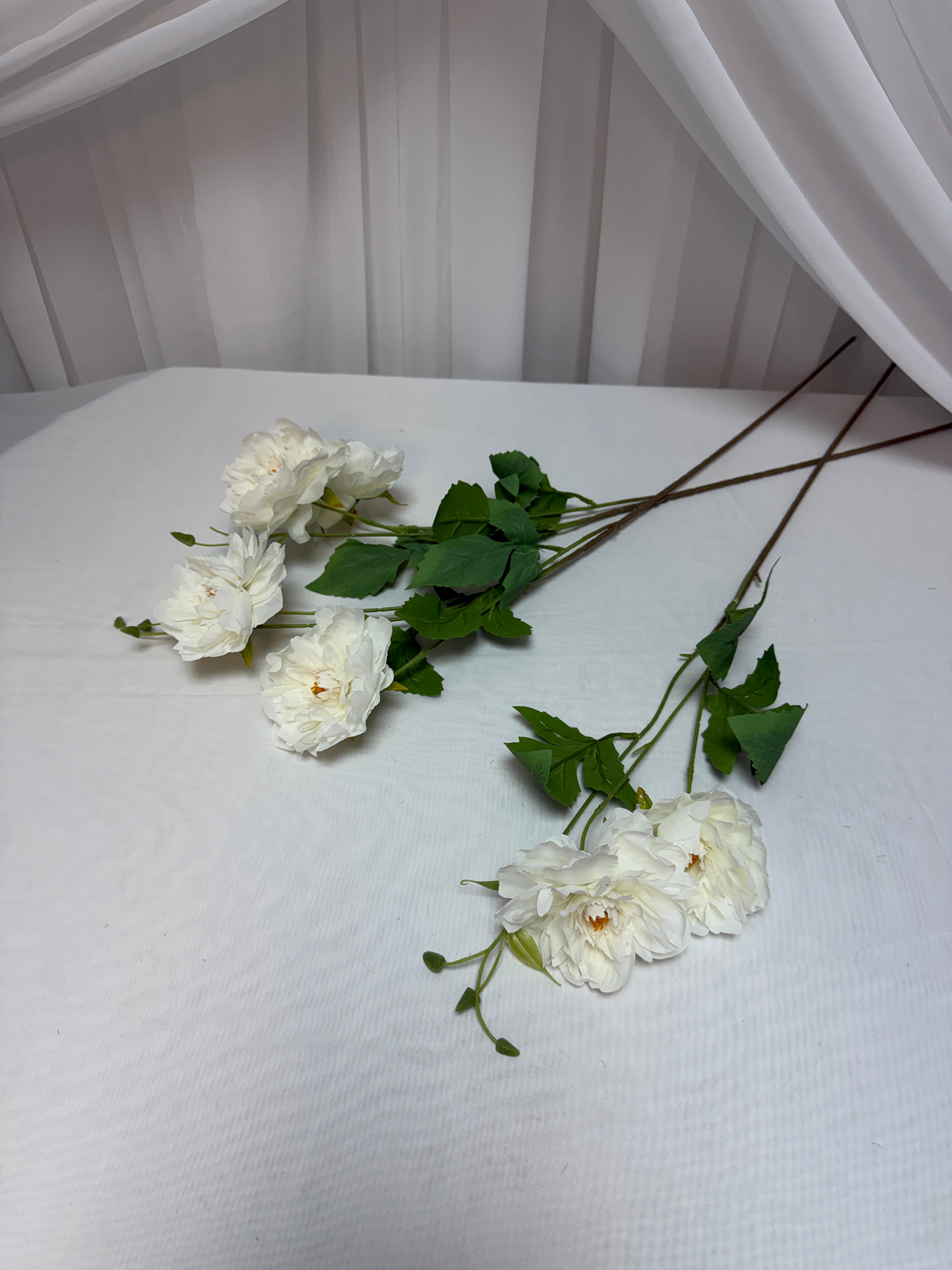 Bujori Fir 2 Flori si Bobocei