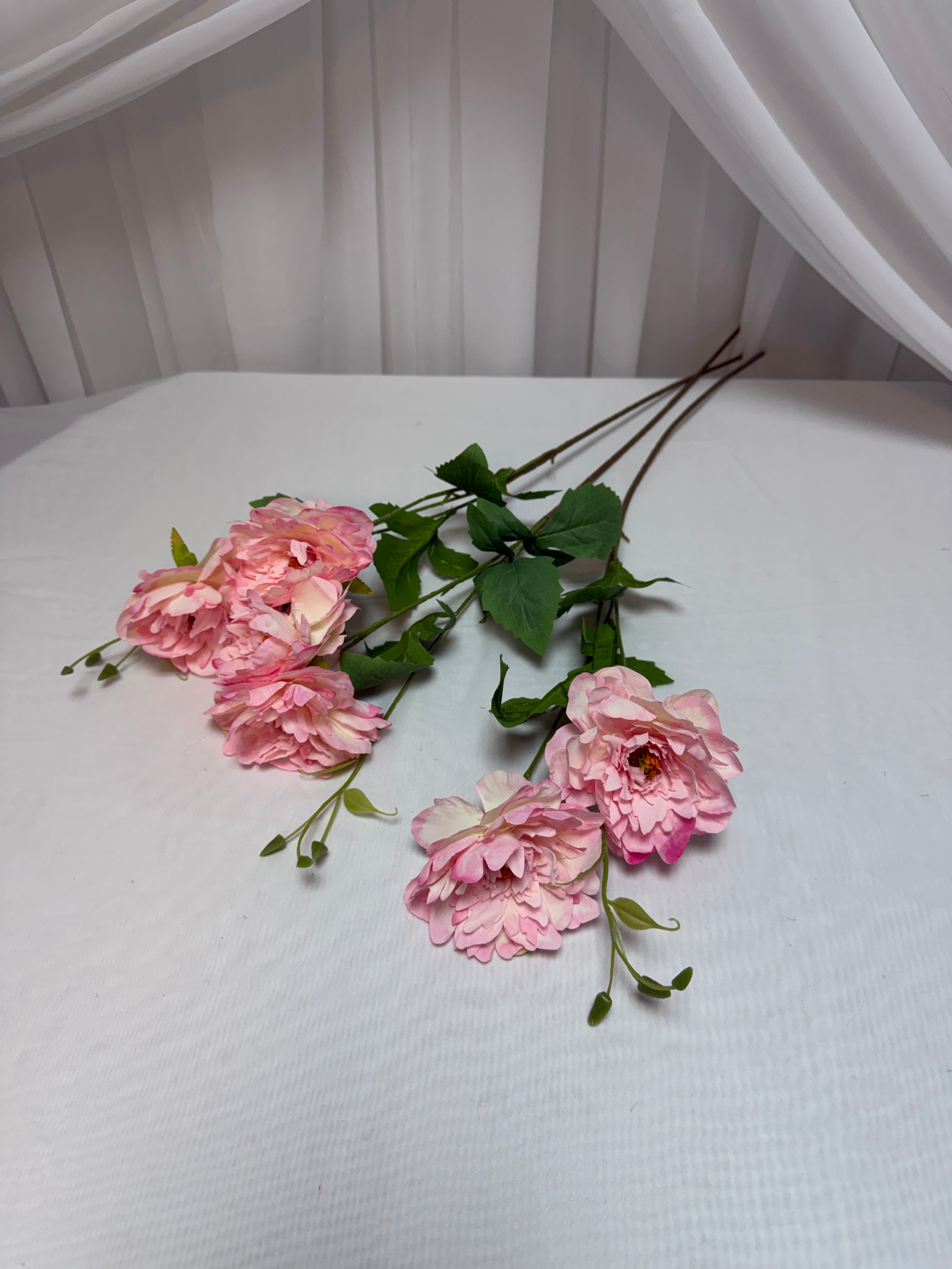 Bujori Fir 2 Flori si Bobocei