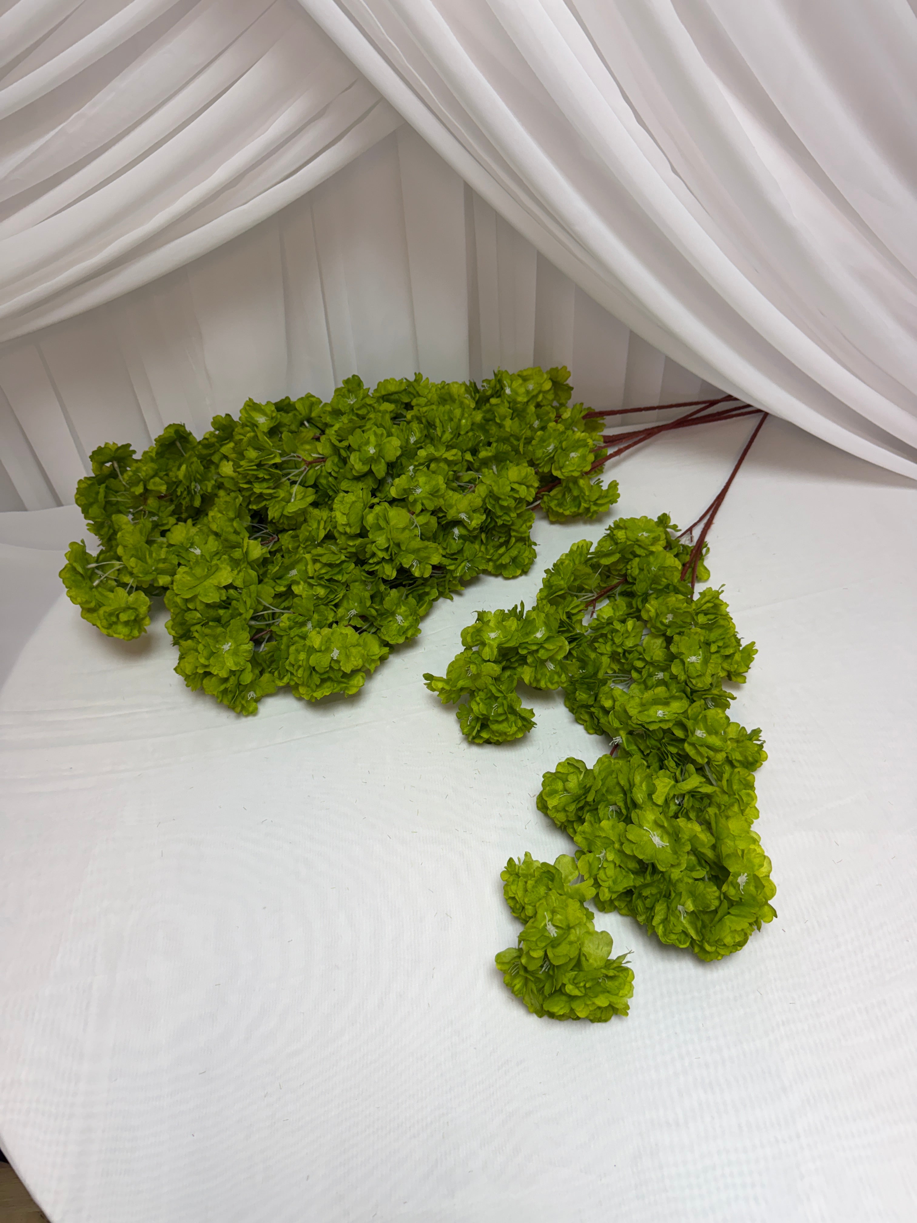 Crengi Flori De Cires Verde