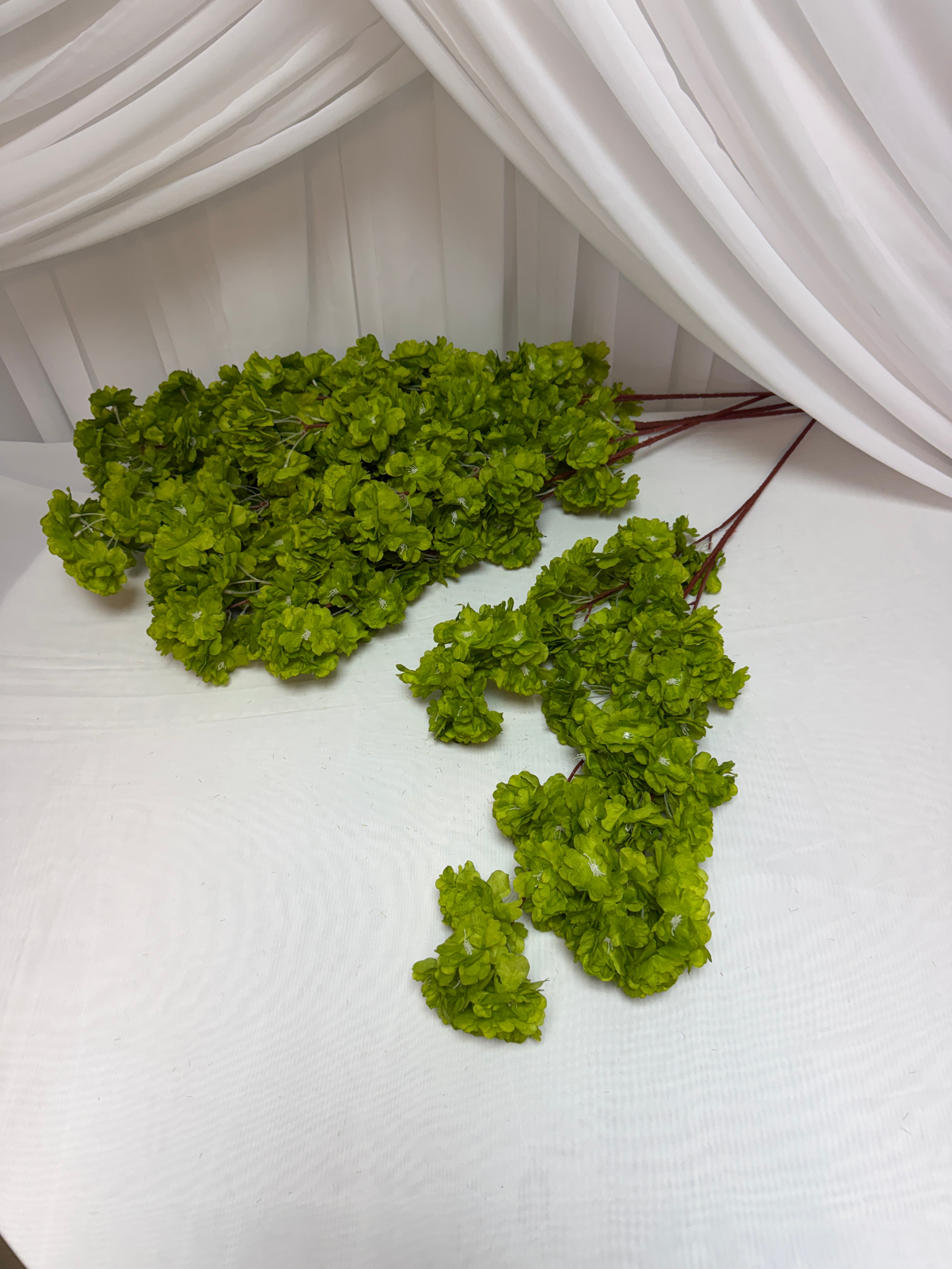 Crengi Flori De Cires Verde