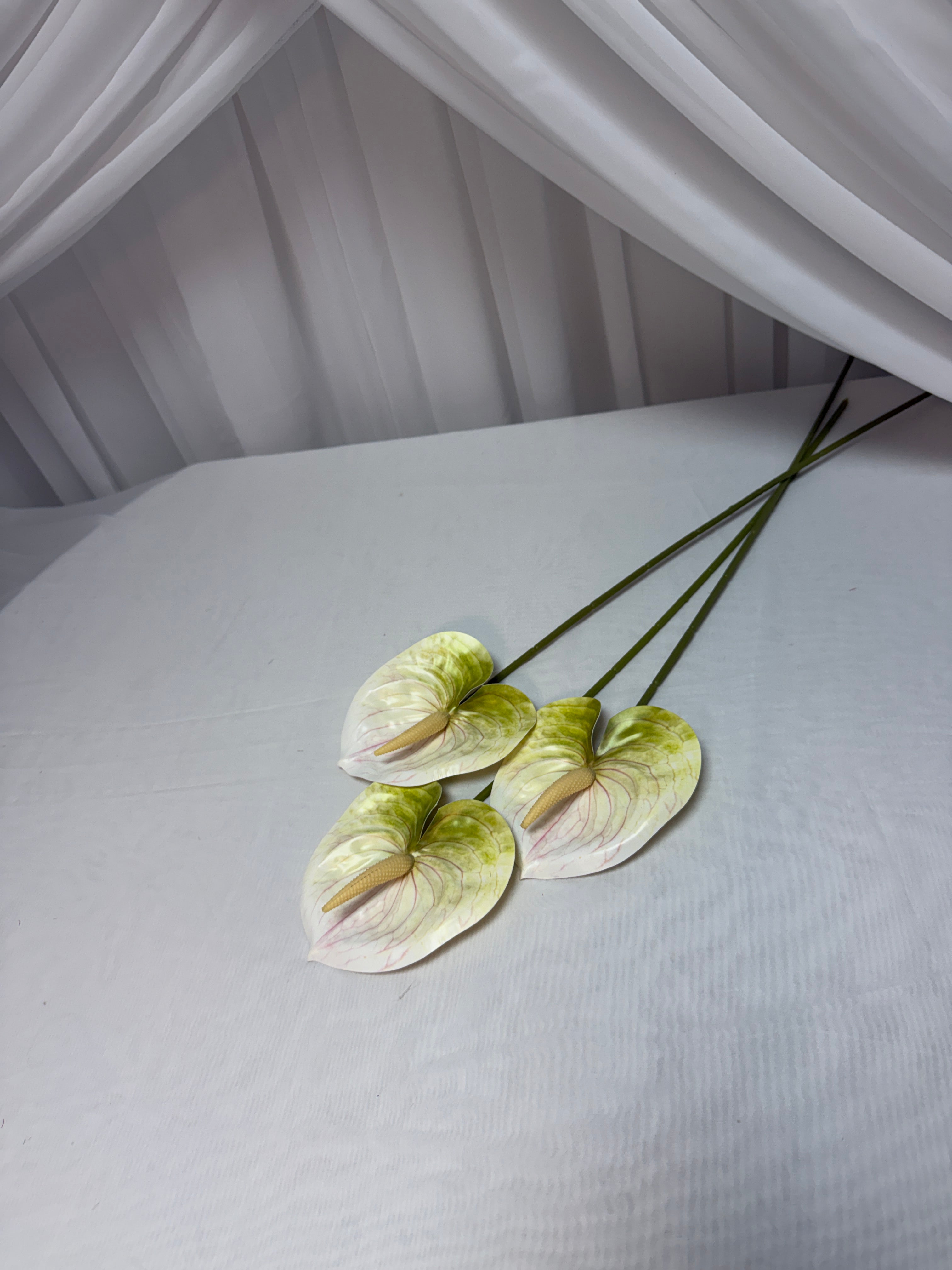 Anturium Artificial 2/set