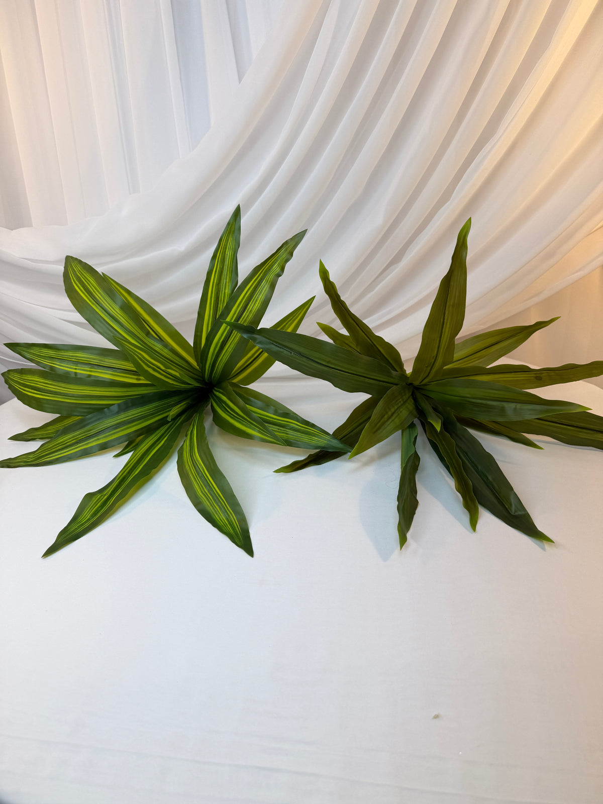Buchet Frunze Artificiale de Dracena, Diametru 60 cm – 2 Culori