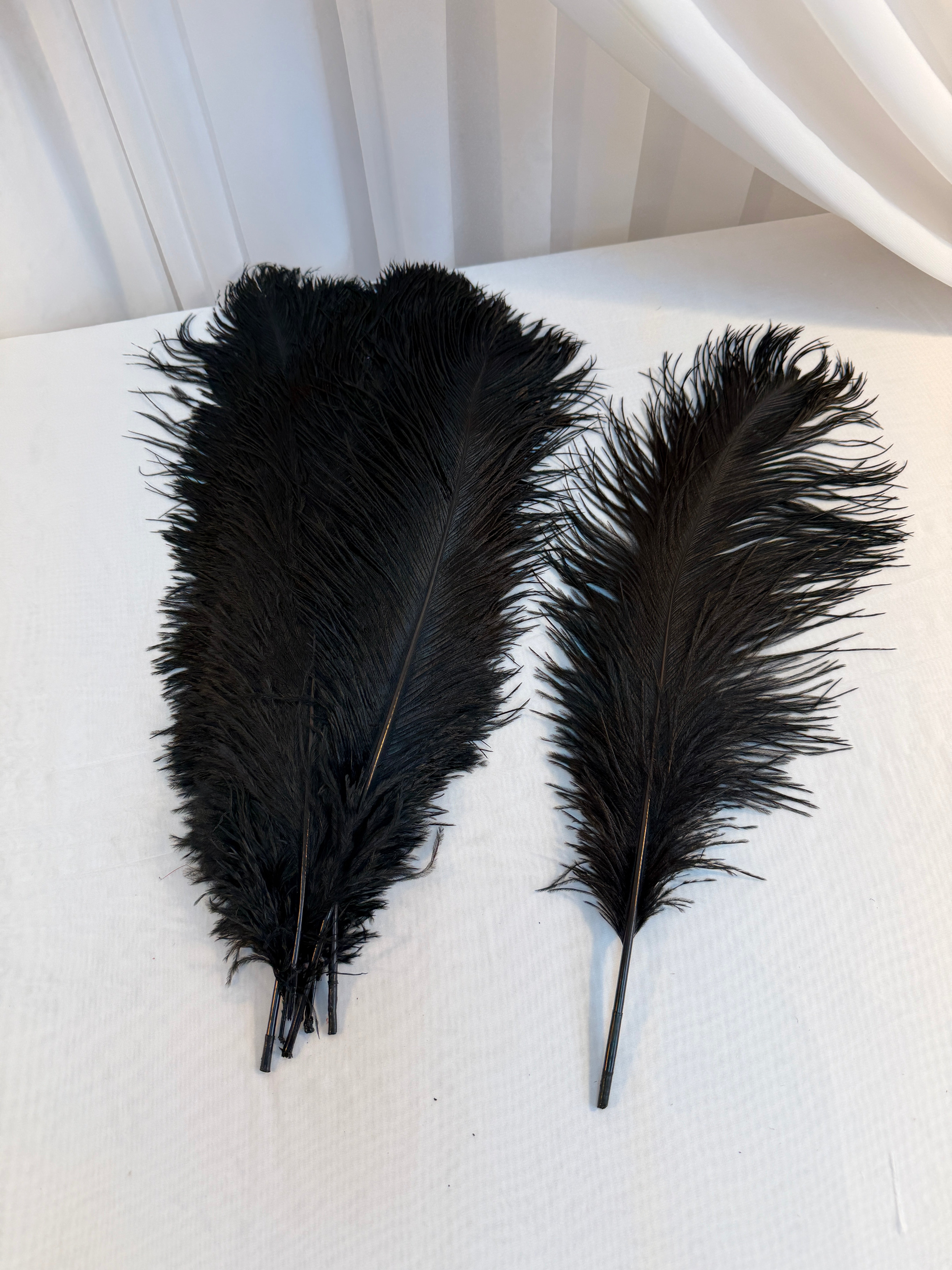 Pene De Strut  50-55cm 10/set