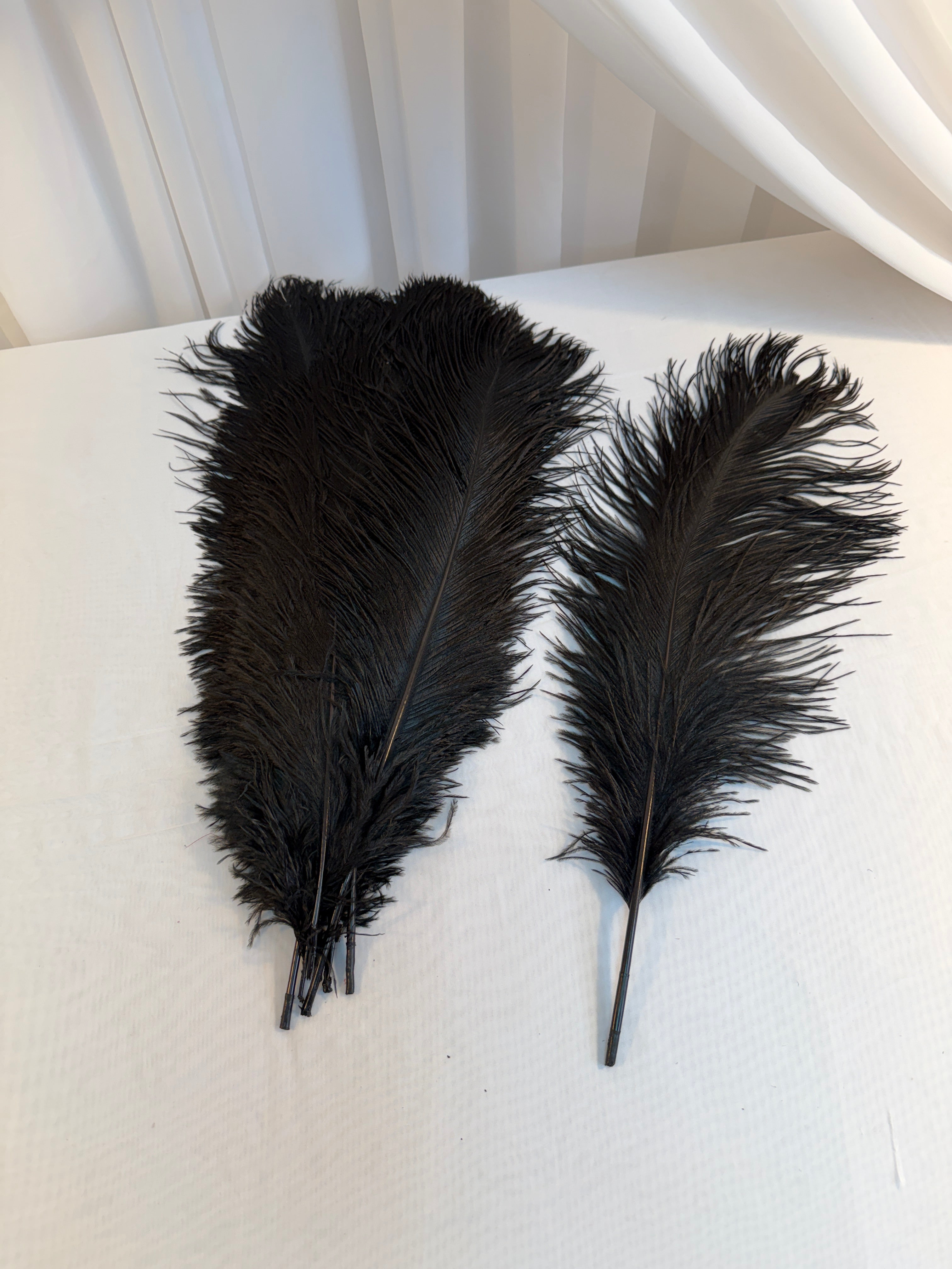 Pene De Strut  50-55cm 10/set