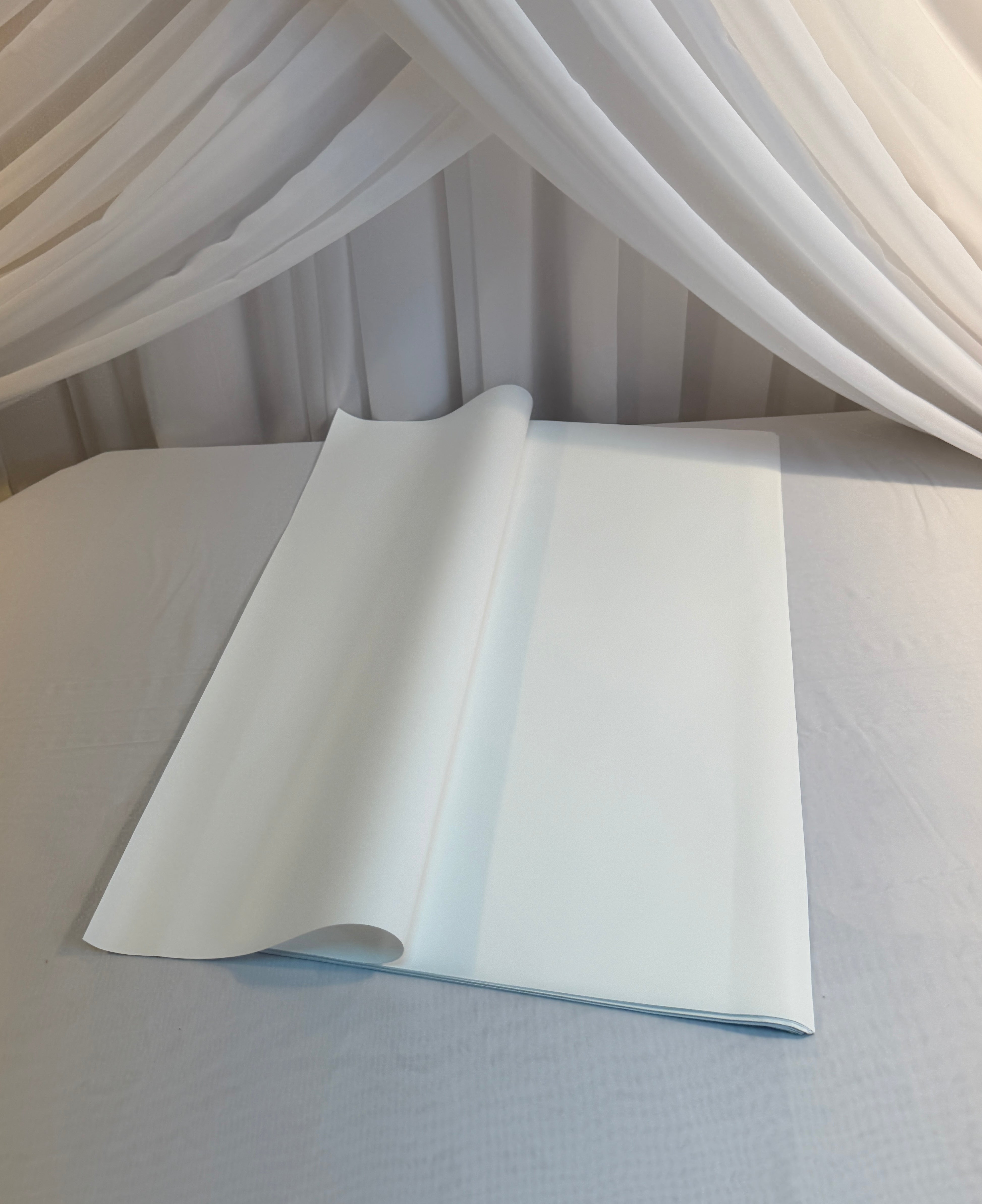 Ambalaj Flori 20/set Culori Uni o Fata