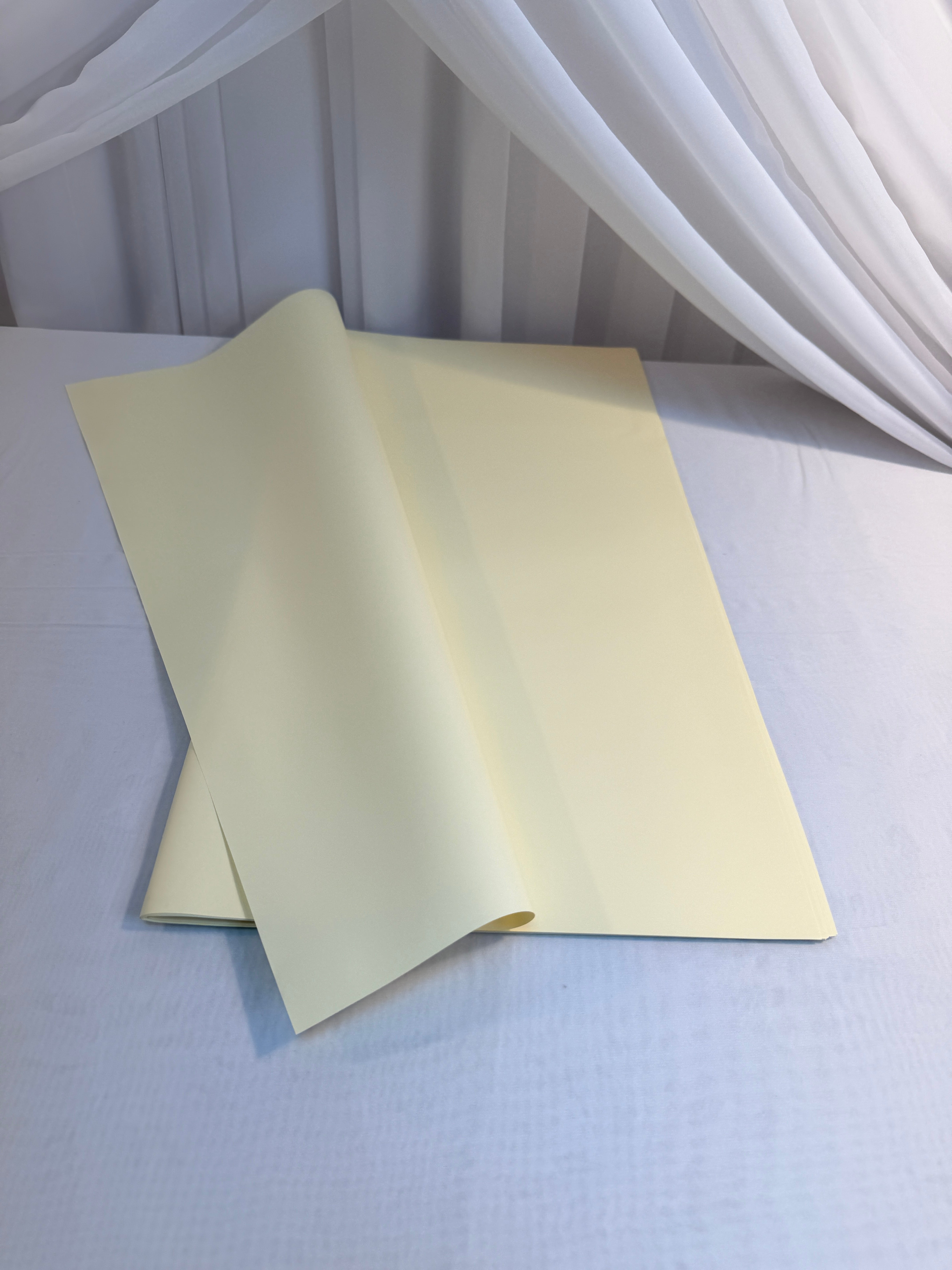 Ambalaj Flori 20/set Culori Uni o Fata