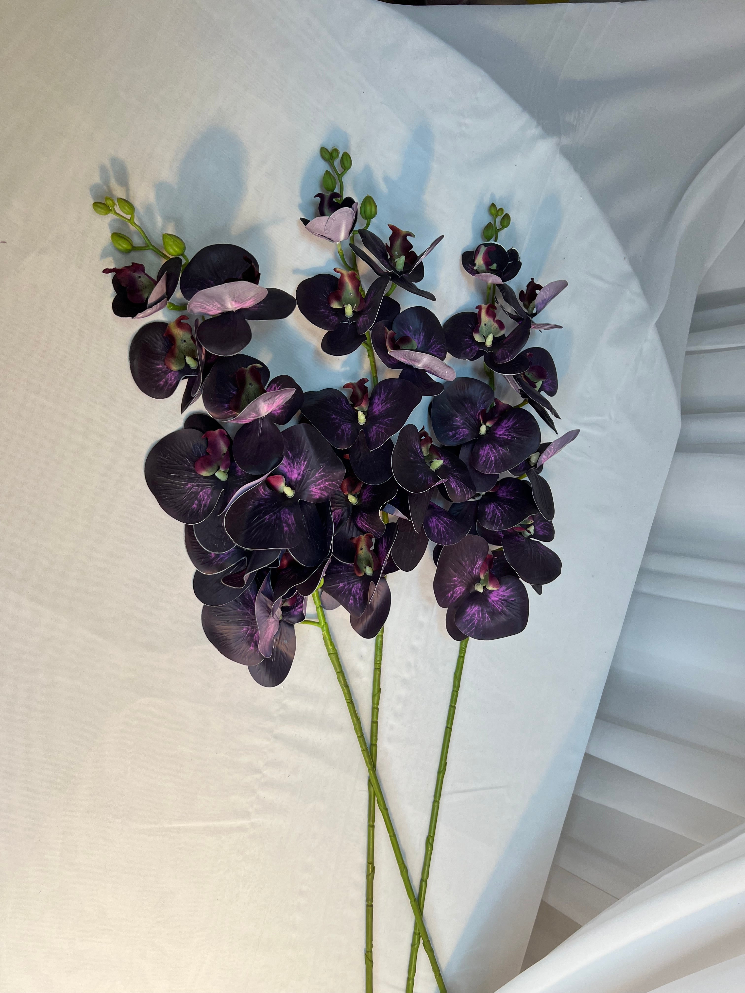 Orhidee 9 Flori Mov Imperial