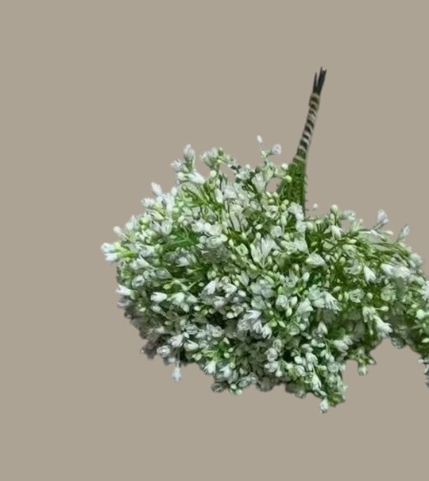 Buchet Floarea Miresei Cu Bobocei Artificiala 10/set