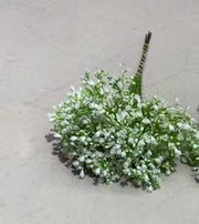 Buchet Floarea Miresei Cu Bobocei Artificiala 10/set