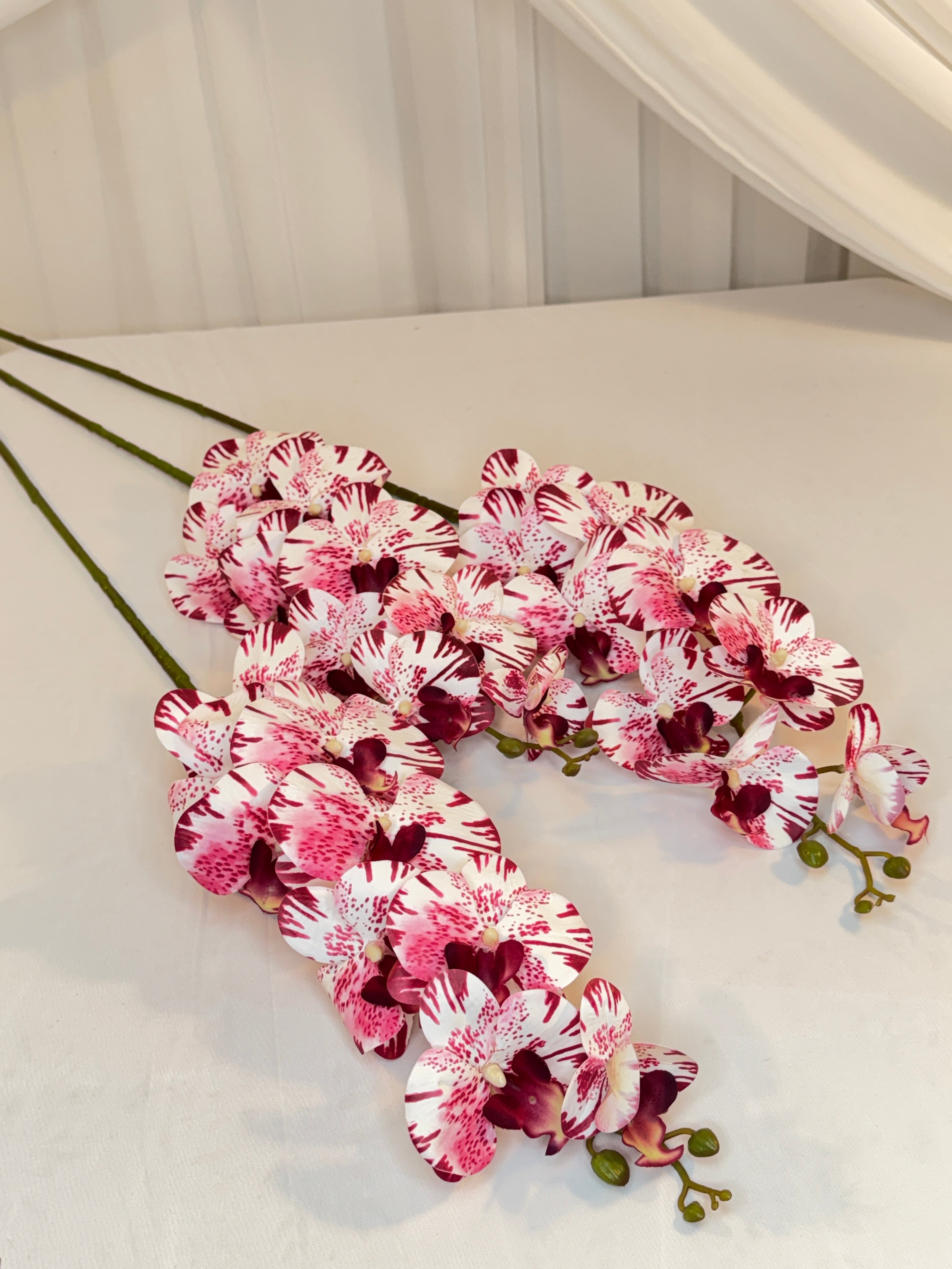 Orhidee 9 Flori Alb Grena Linii A302-22