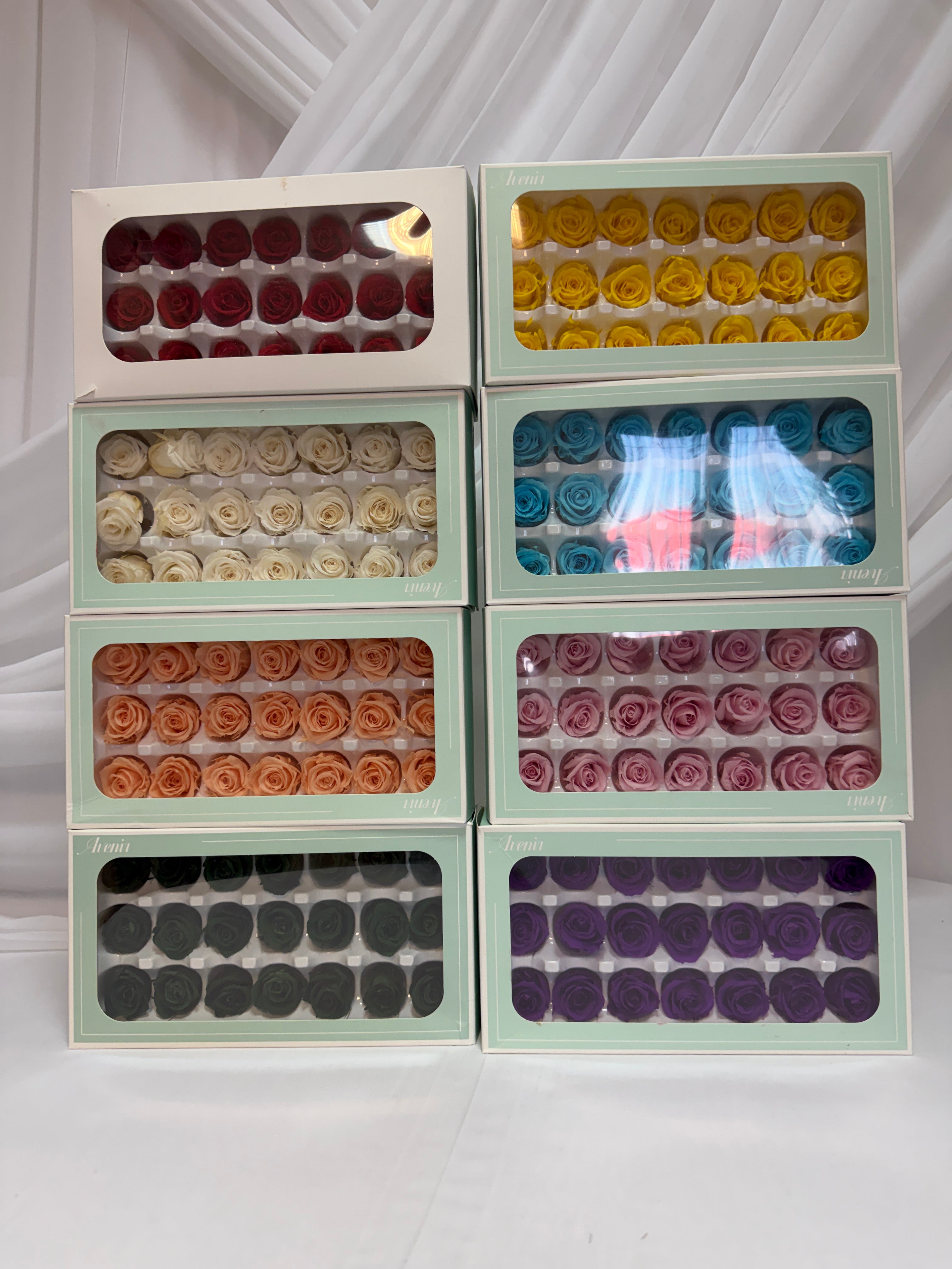 Trandafiri Criogenati 21/set