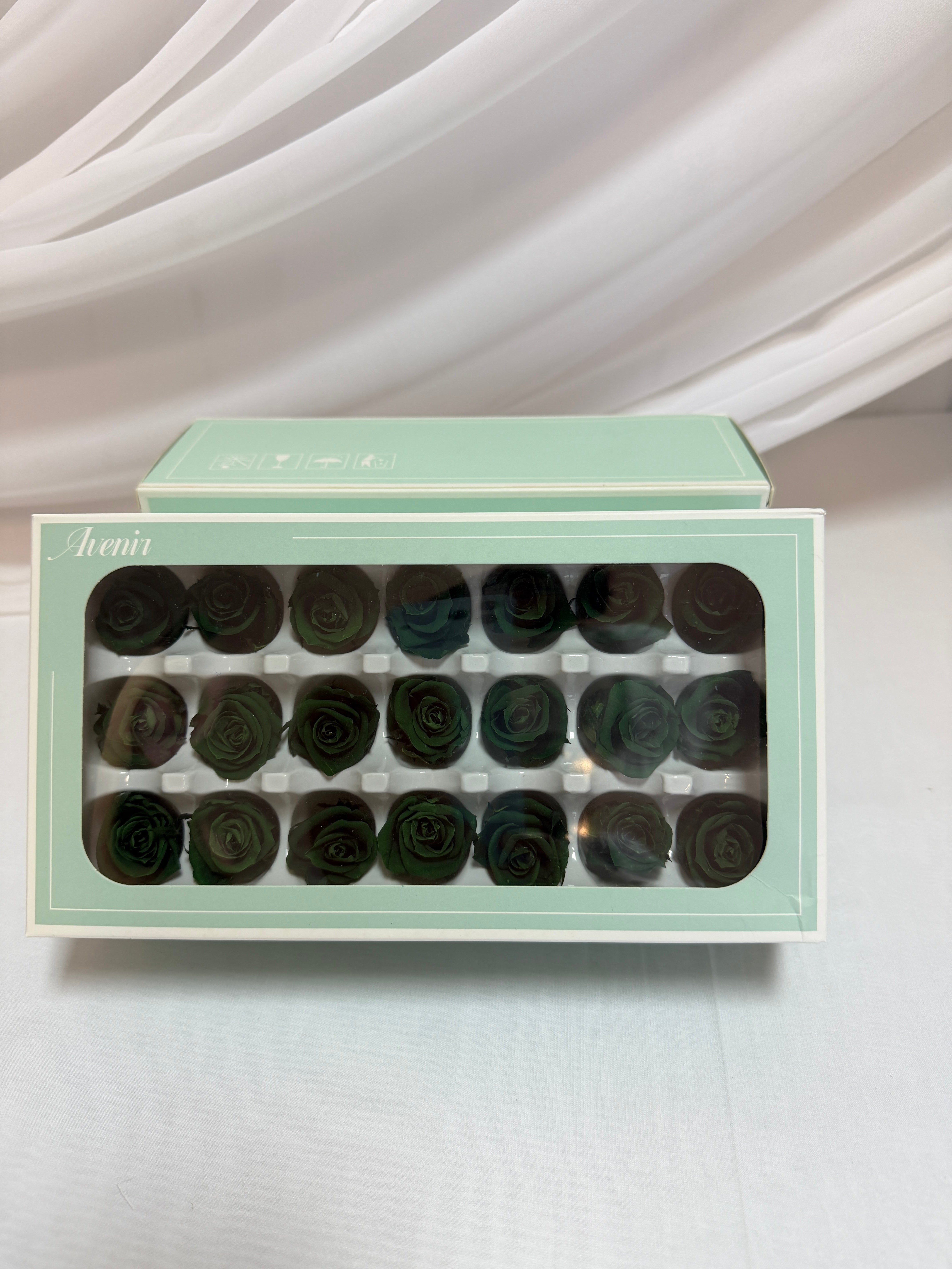 Trandafiri Criogenati 21/set