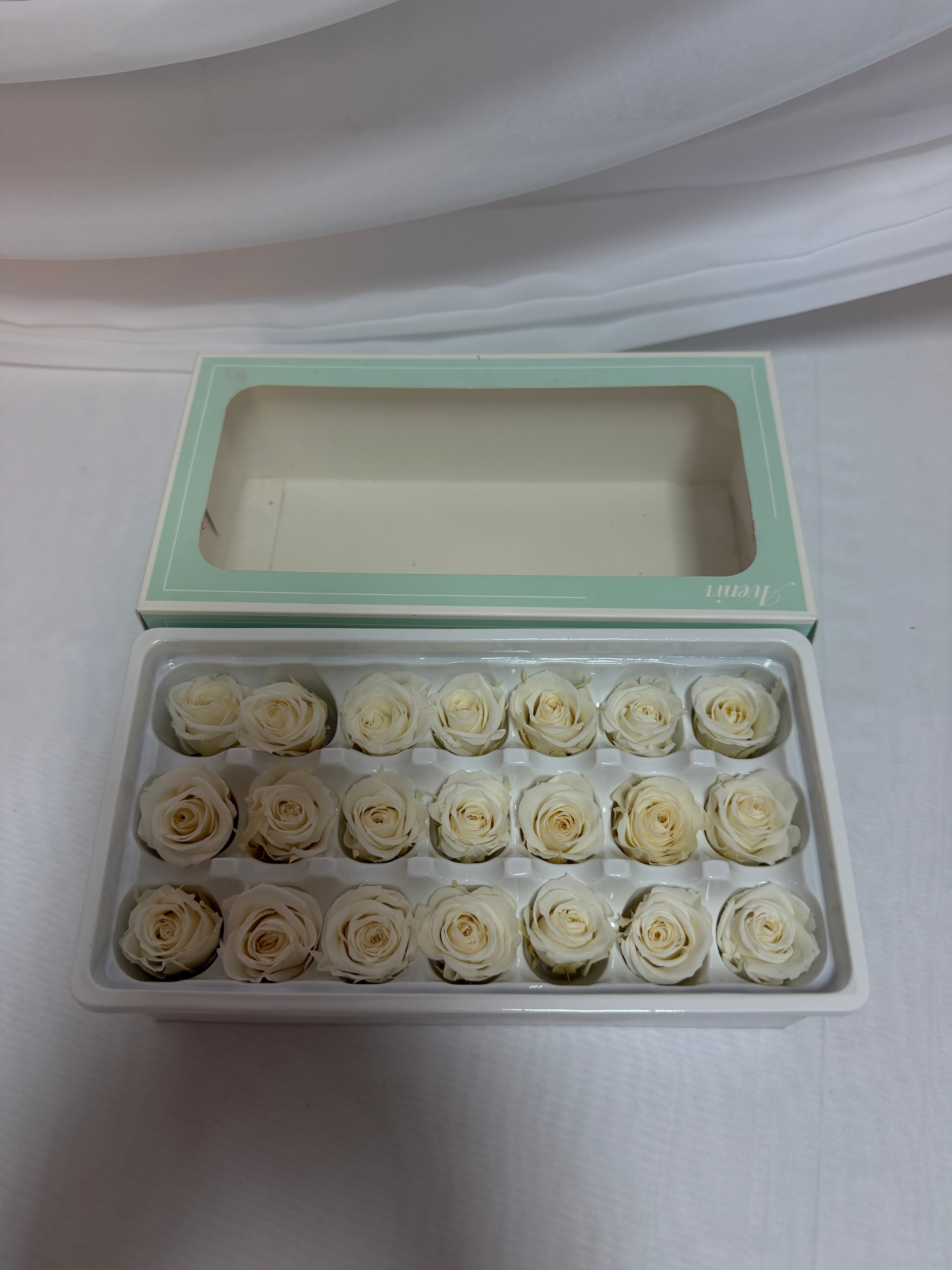 Trandafiri Criogenati 21/set