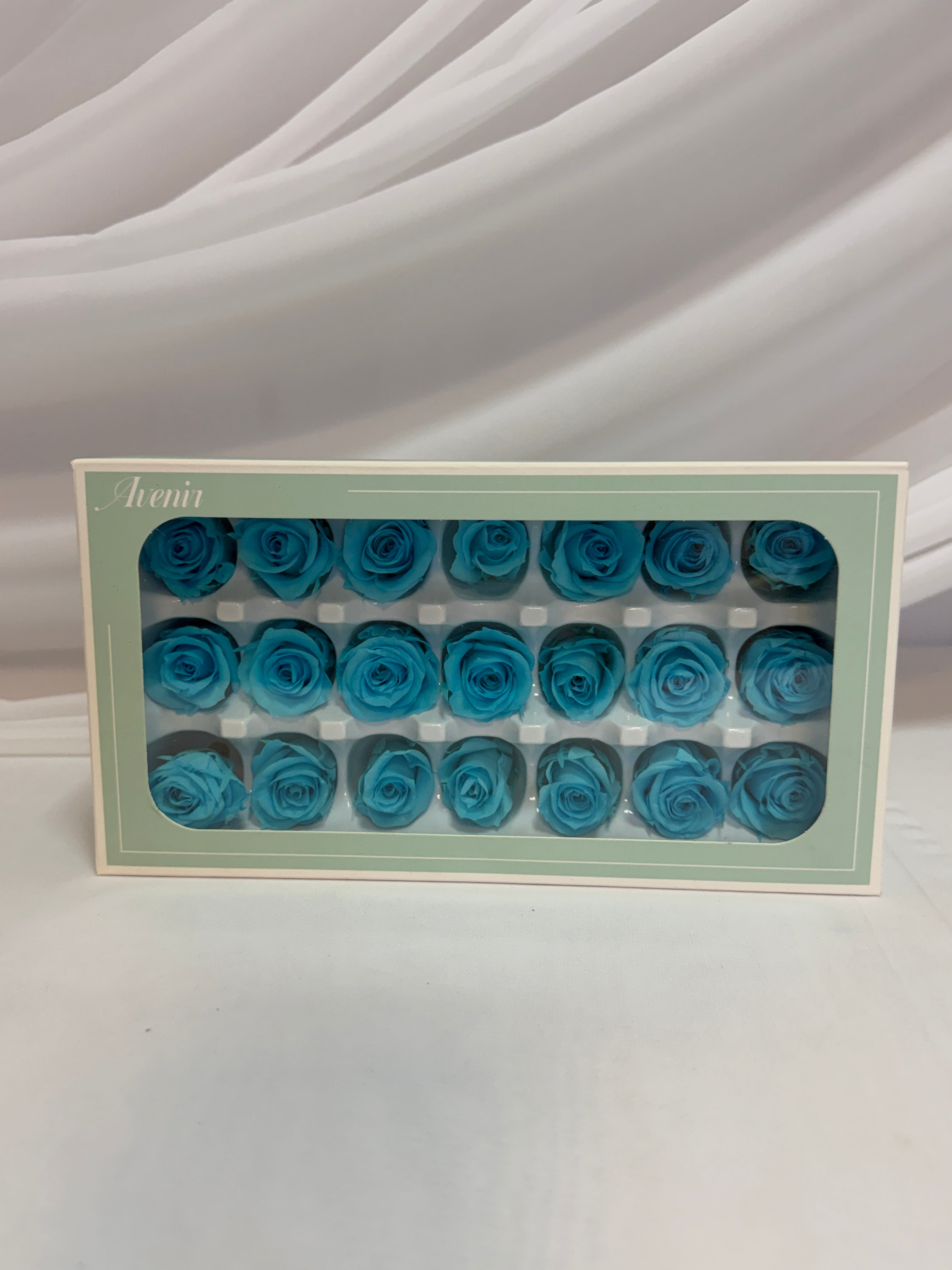 Trandafiri Criogenati 21/set