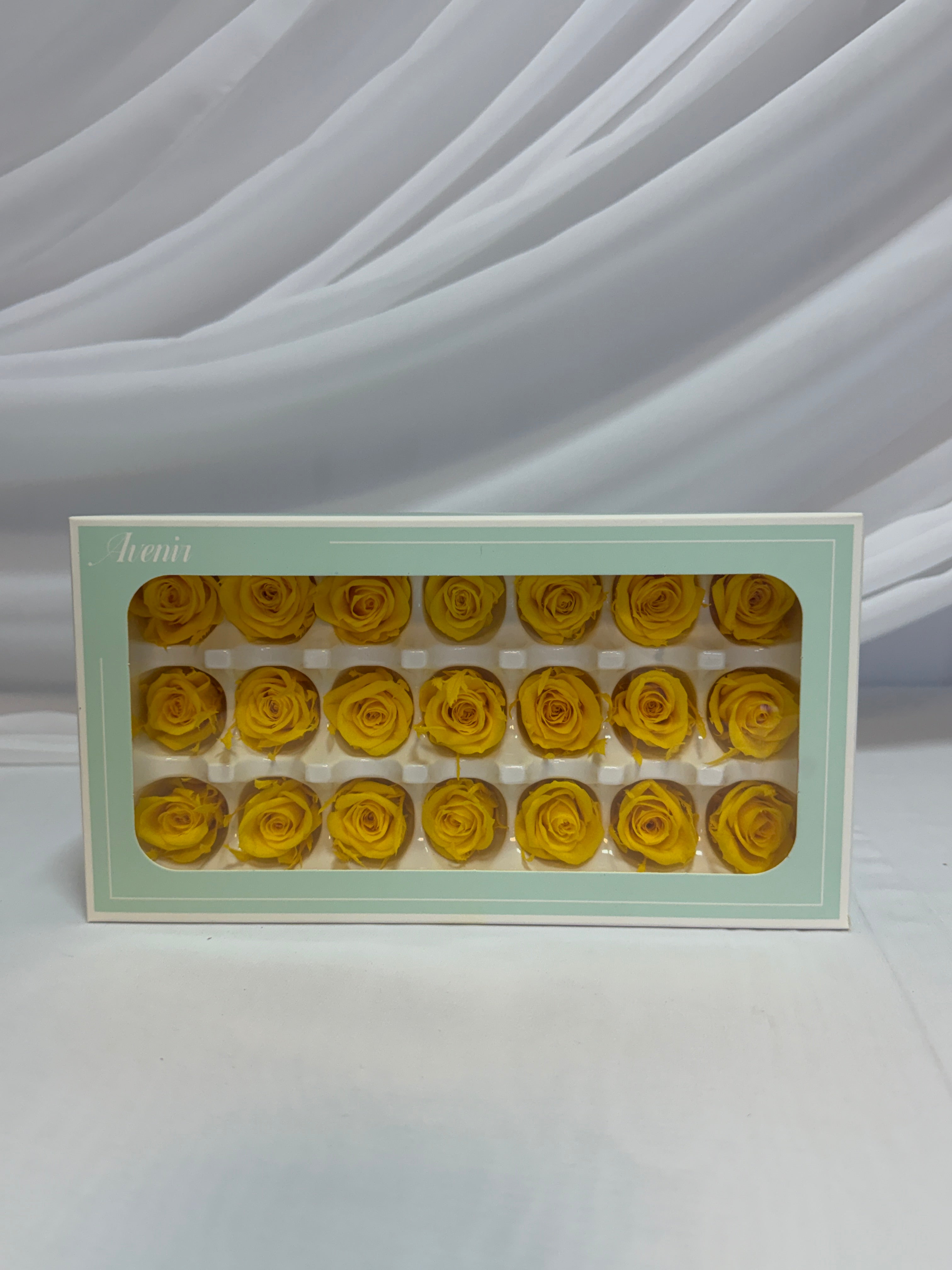 Trandafiri Criogenati 21/set