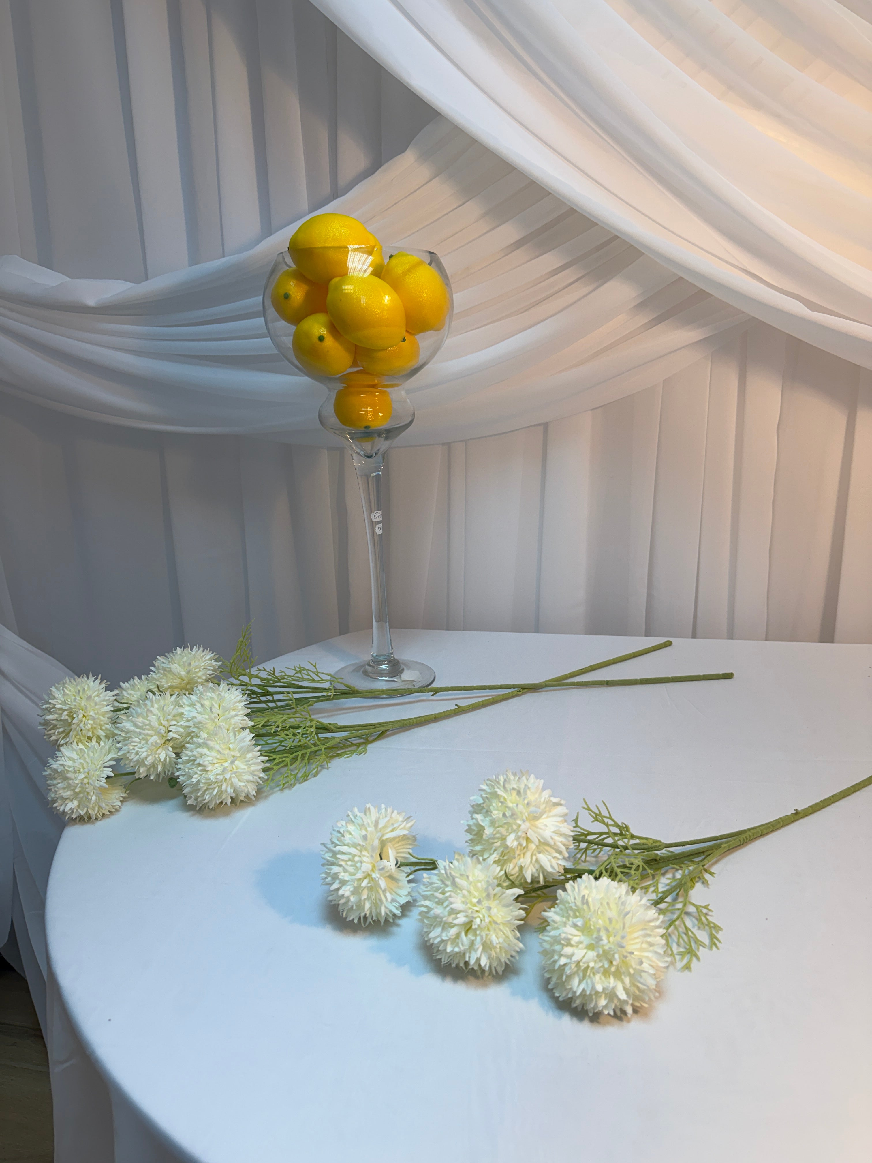 Fir Crizantema Bombisori 78cm