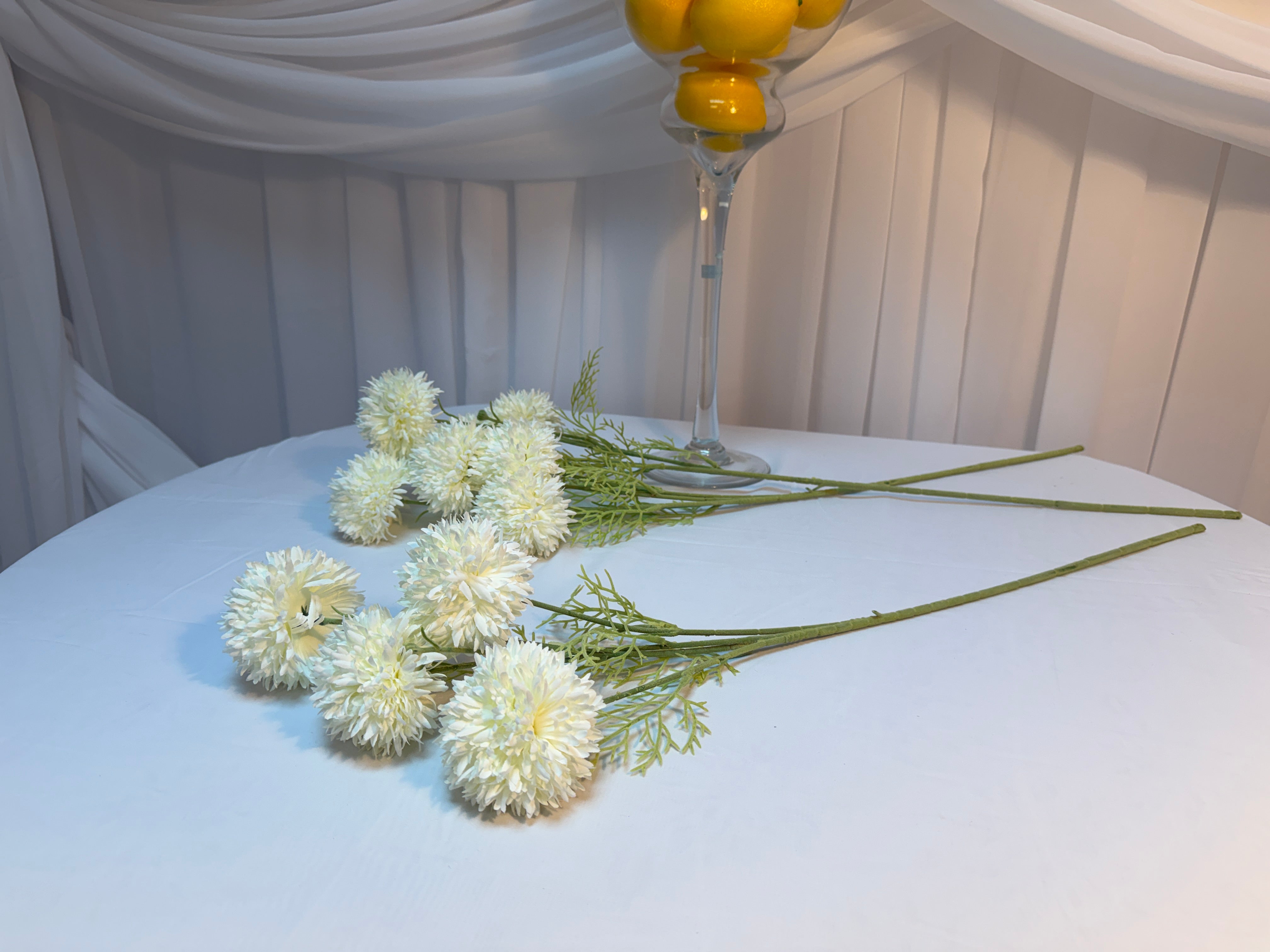 Fir Crizantema Bombisori 78cm