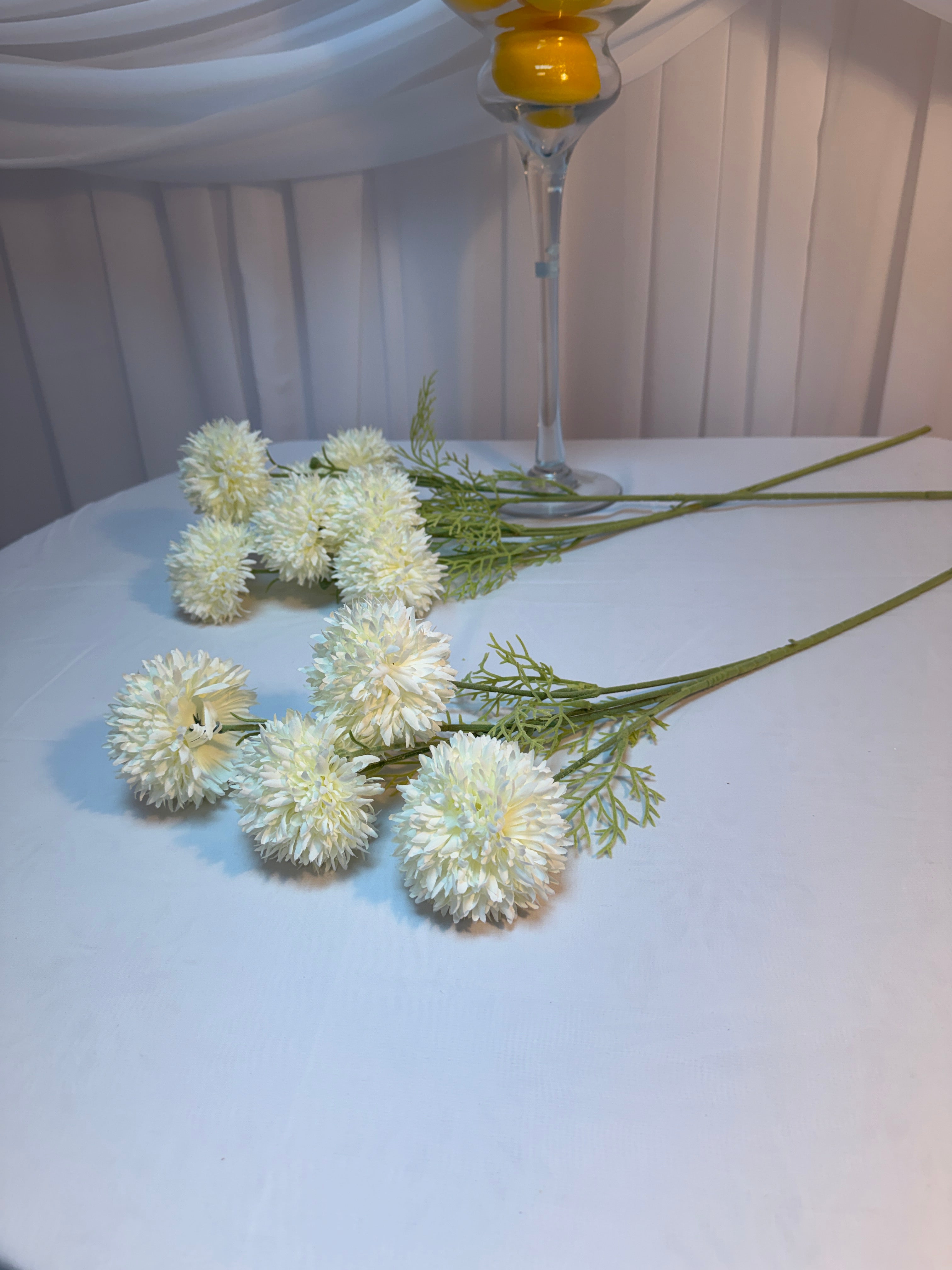 Fir Crizantema Bombisori 78cm