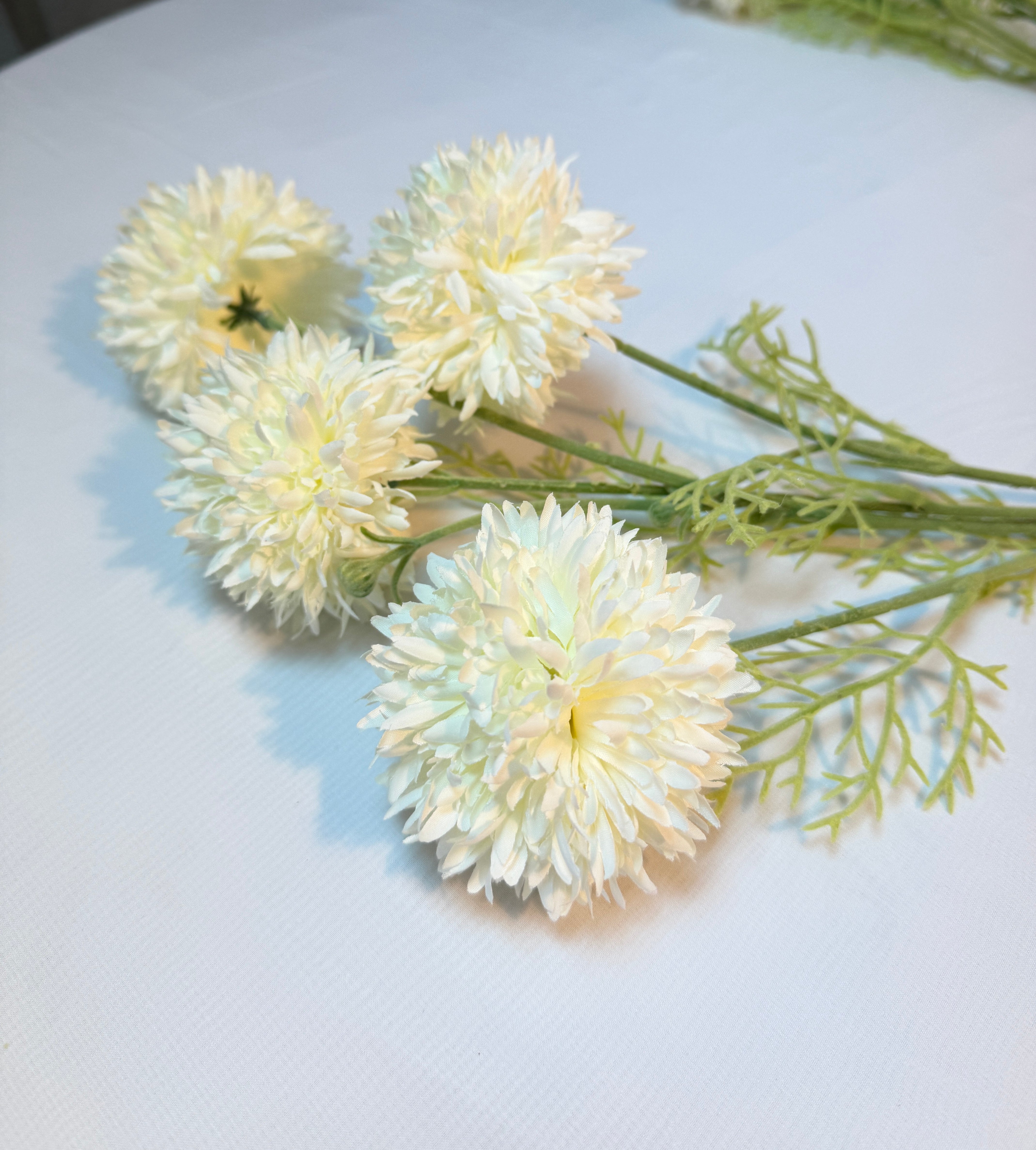 Fir Crizantema Bombisori 78cm