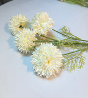 Fir Crizantema Bombisori 78cm