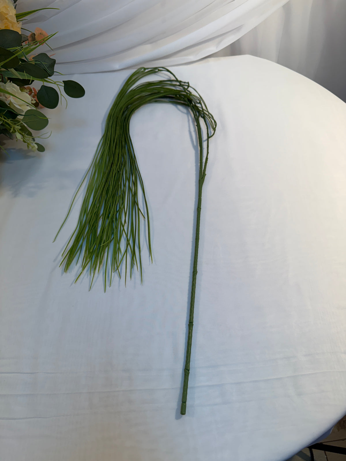 Iarba Curgatoare Decorativa
