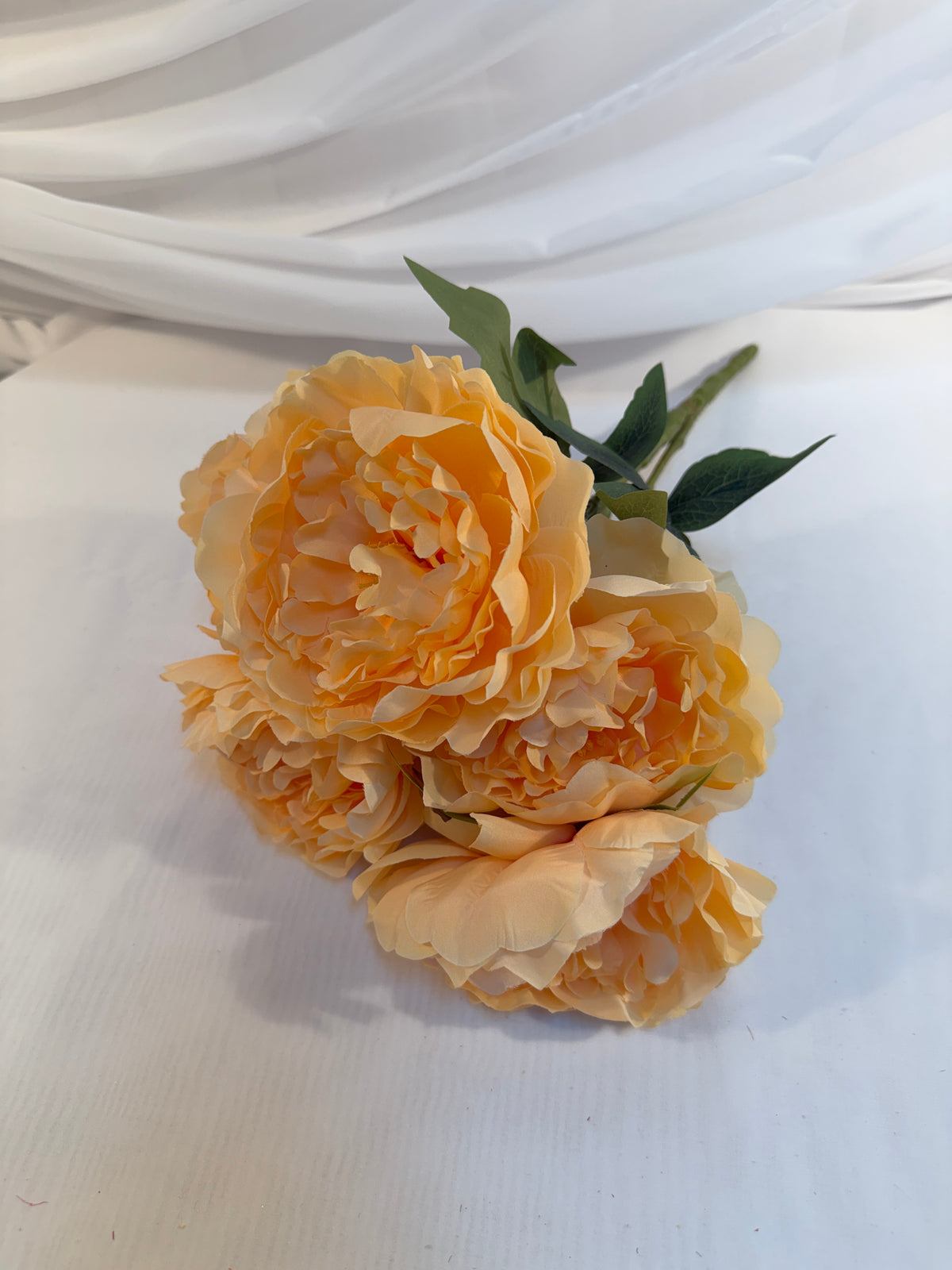 Bujori in Buchet de 5 Flori