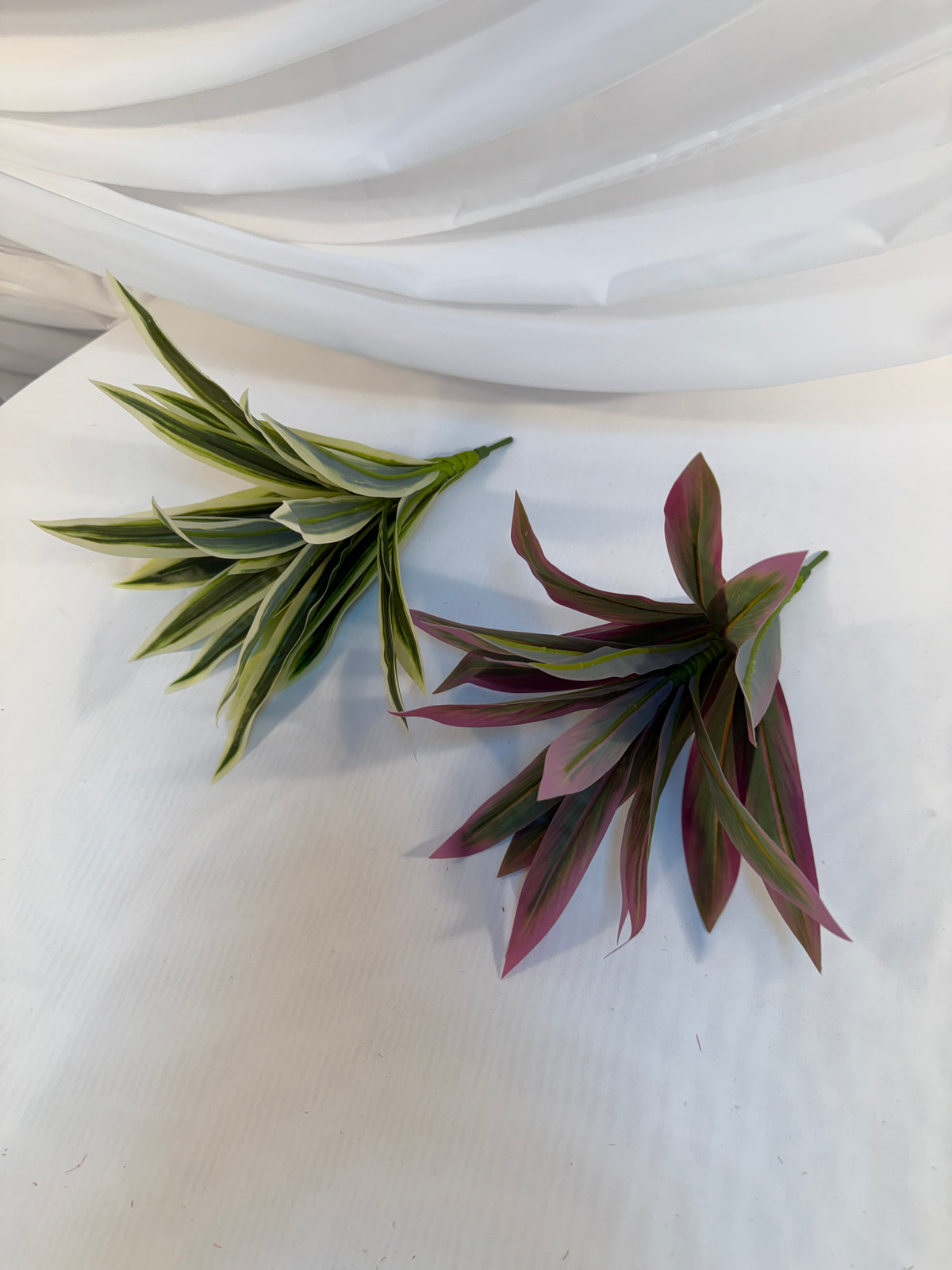 Buchet Frunze De Dracena
