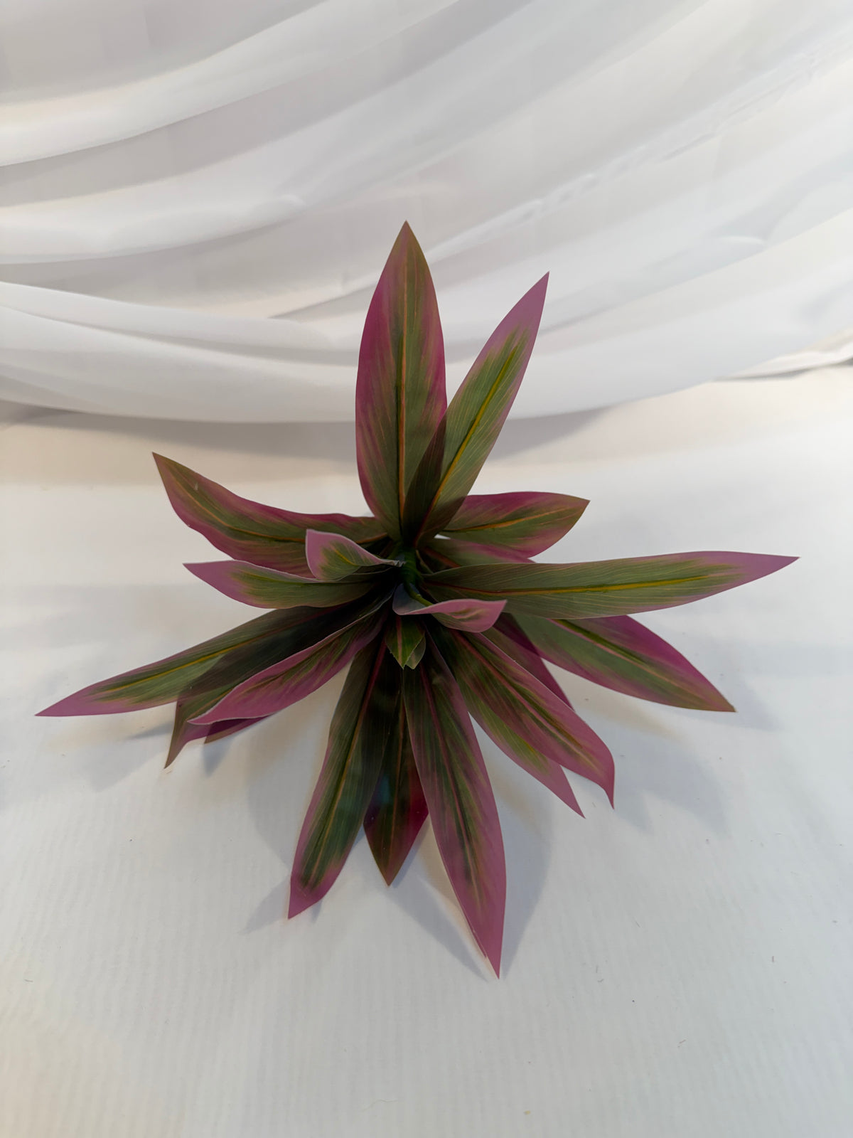 Buchet Frunze De Dracena