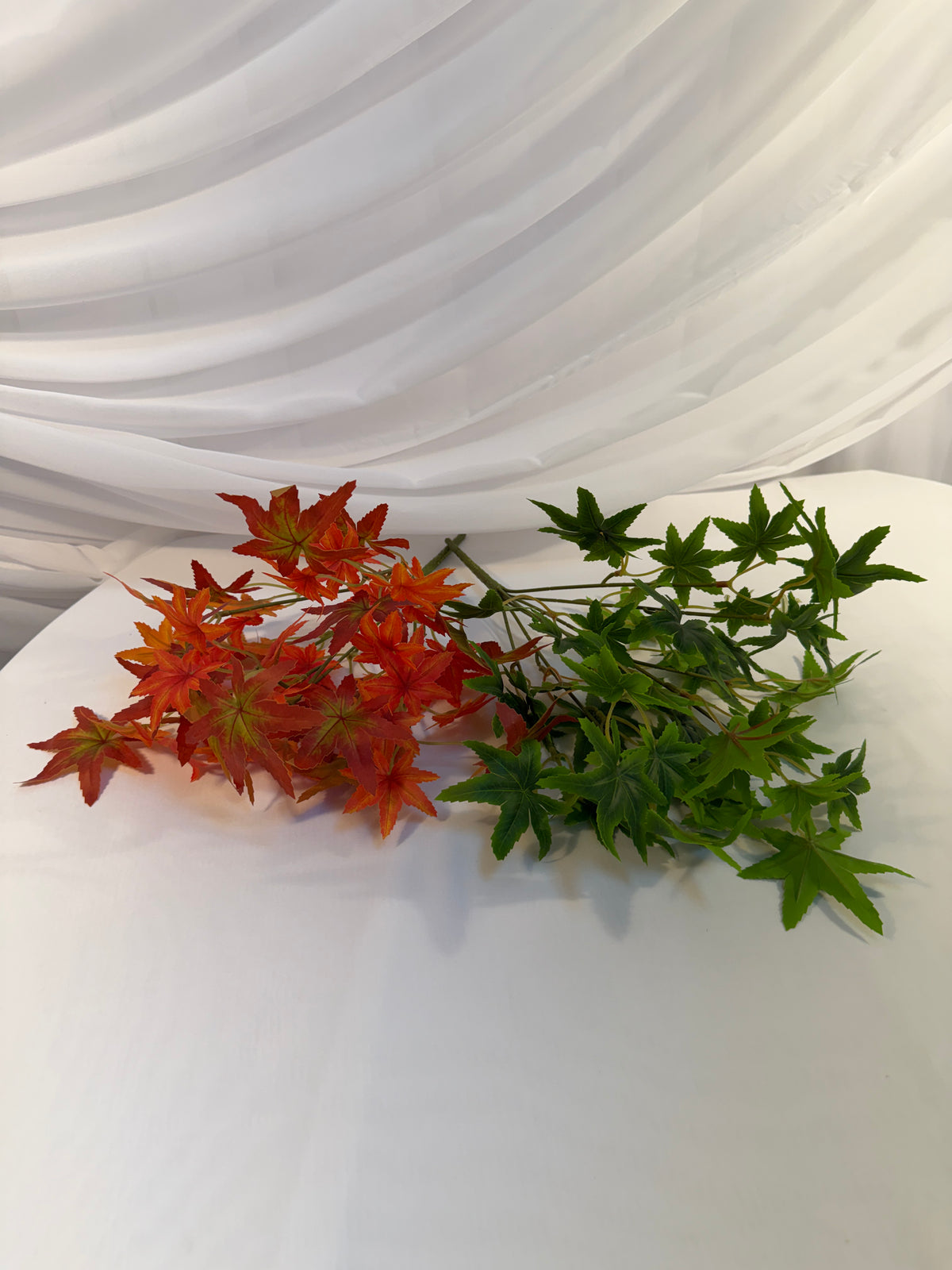 Buchet Frunze De Artar Japonez