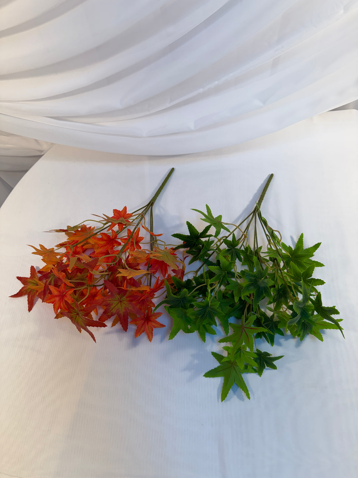 Buchet Frunze De Artar Japonez