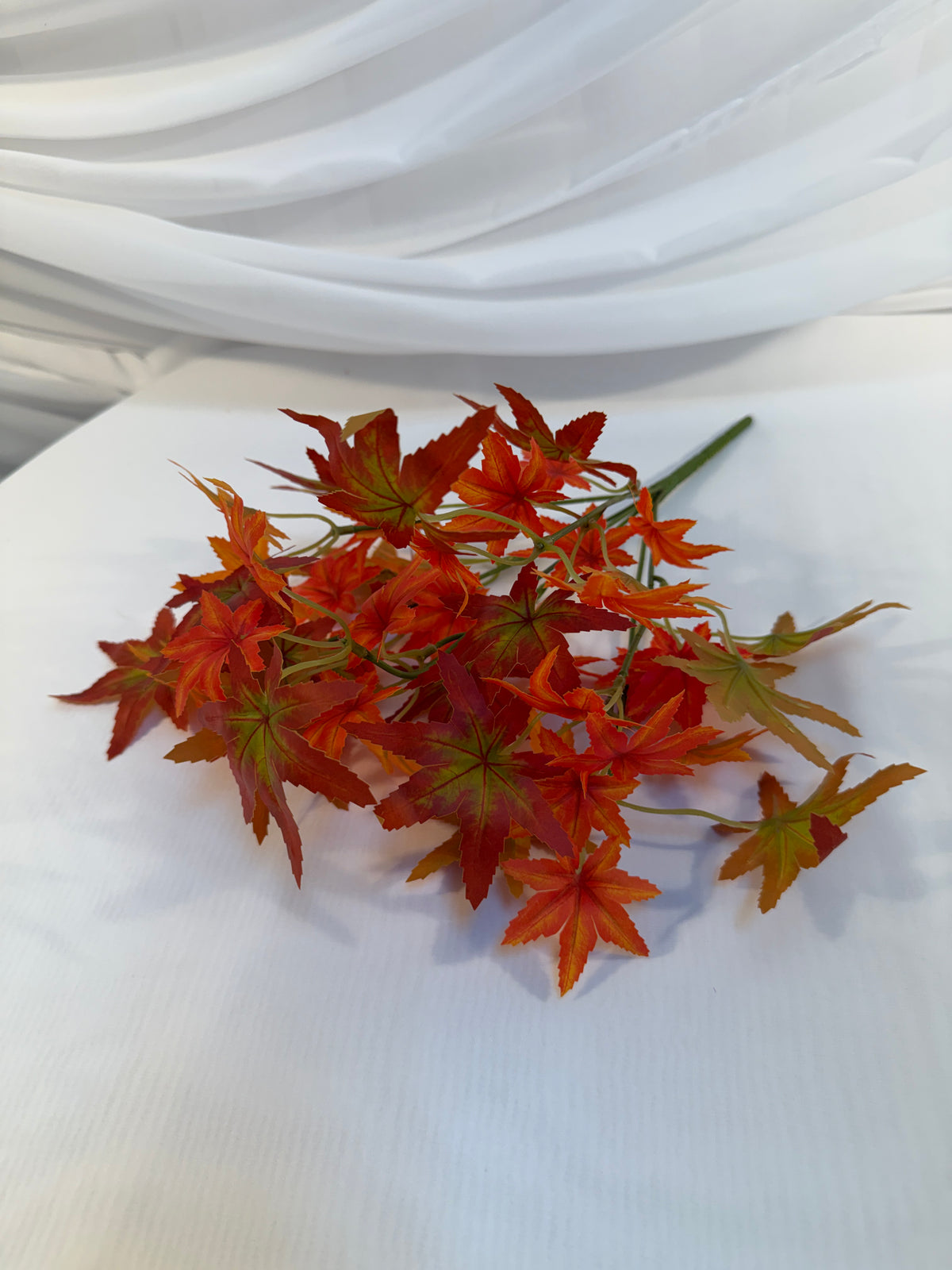 Buchet Frunze De Artar Japonez