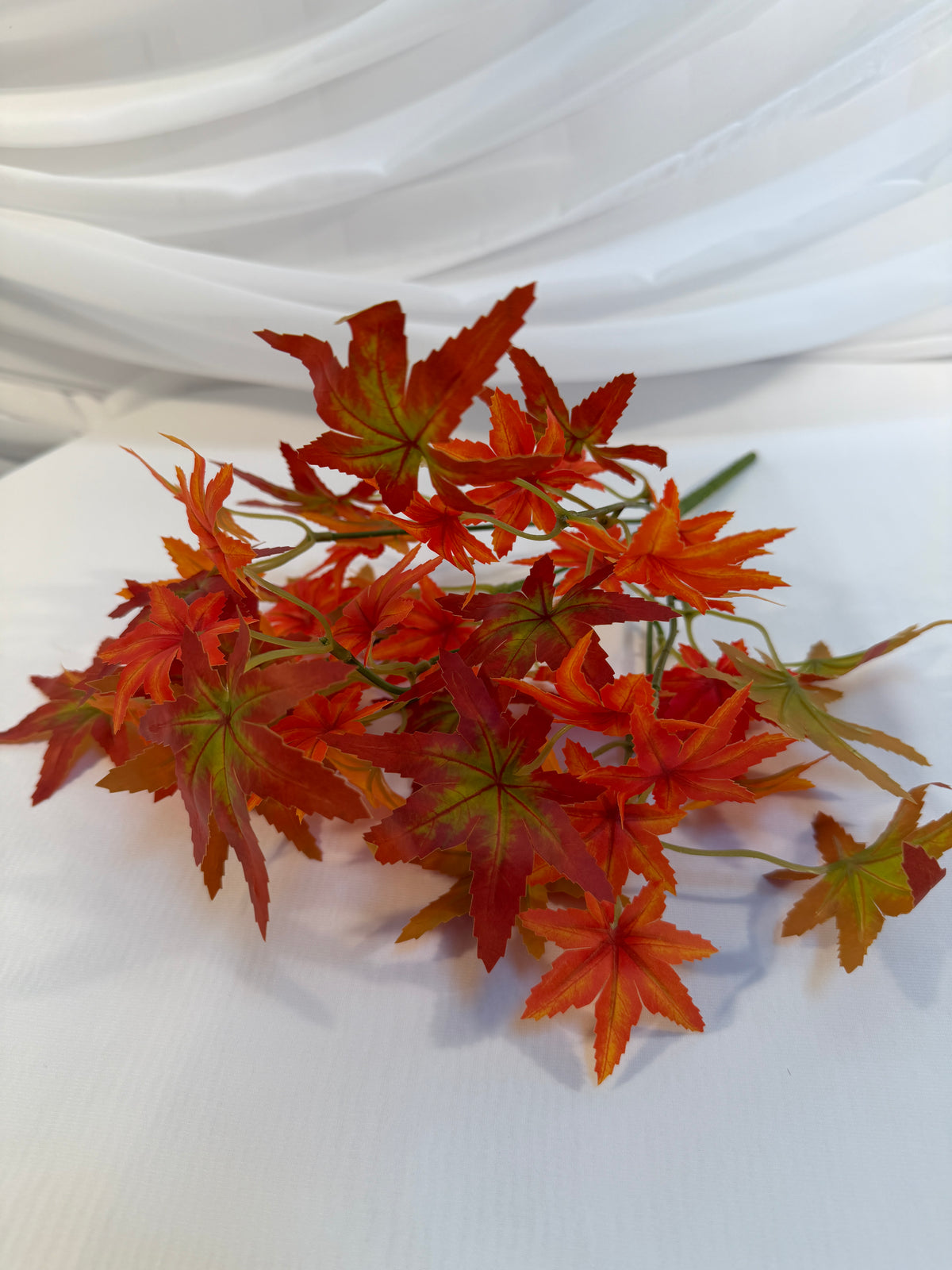 Buchet Frunze De Artar Japonez