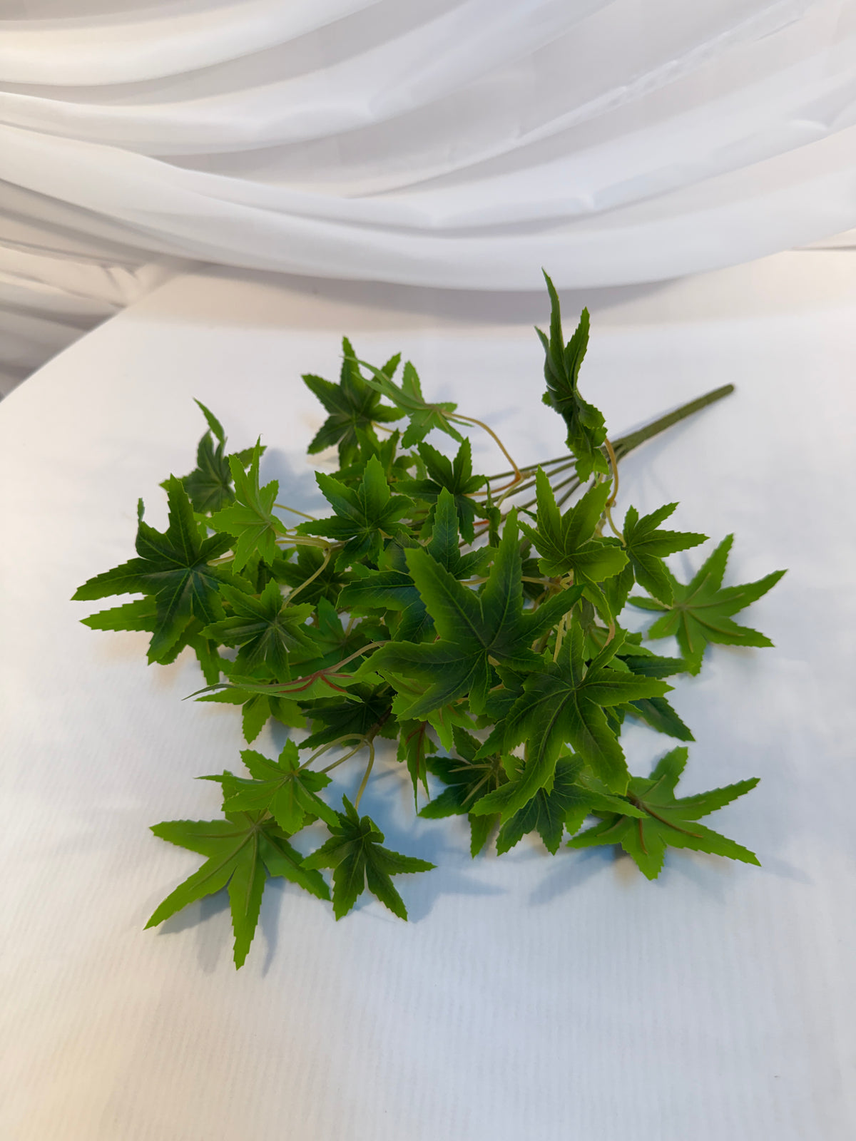 Buchet Frunze De Artar Japonez