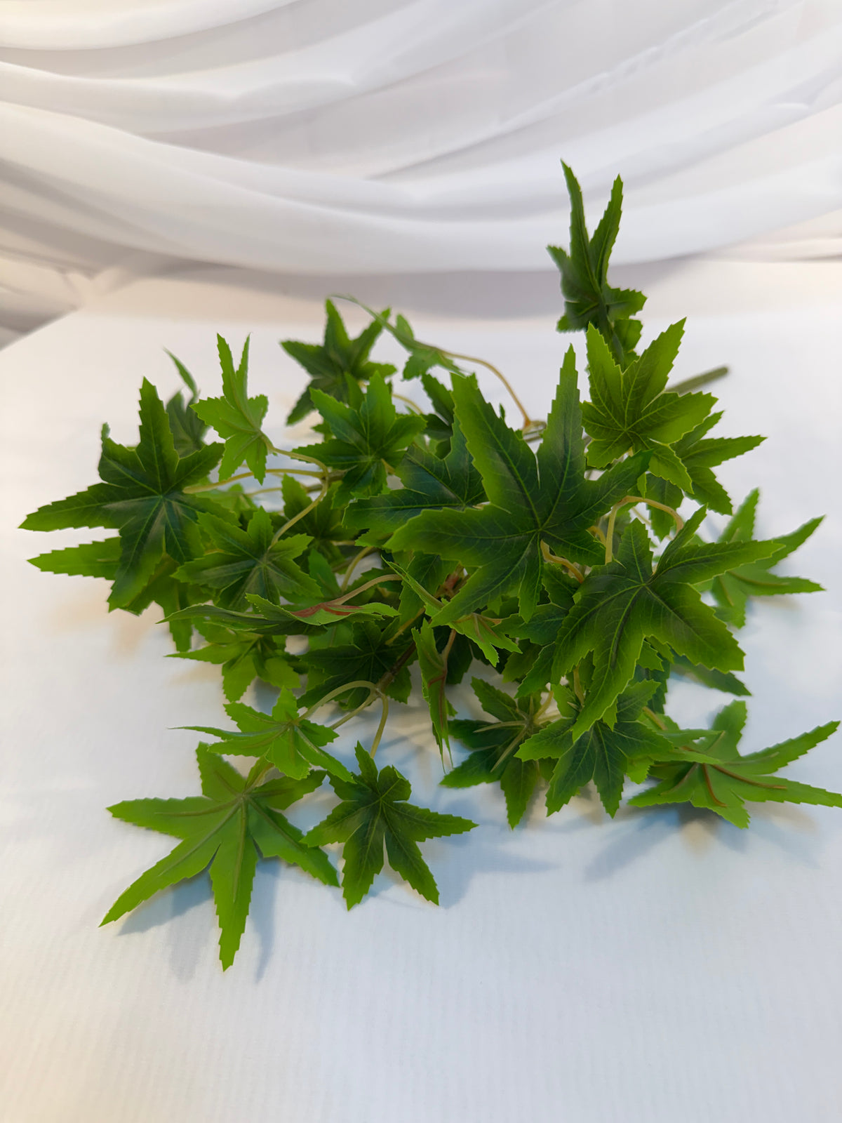 Buchet Frunze De Artar Japonez