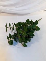 Buchet Frunze Ascutite Artificiala