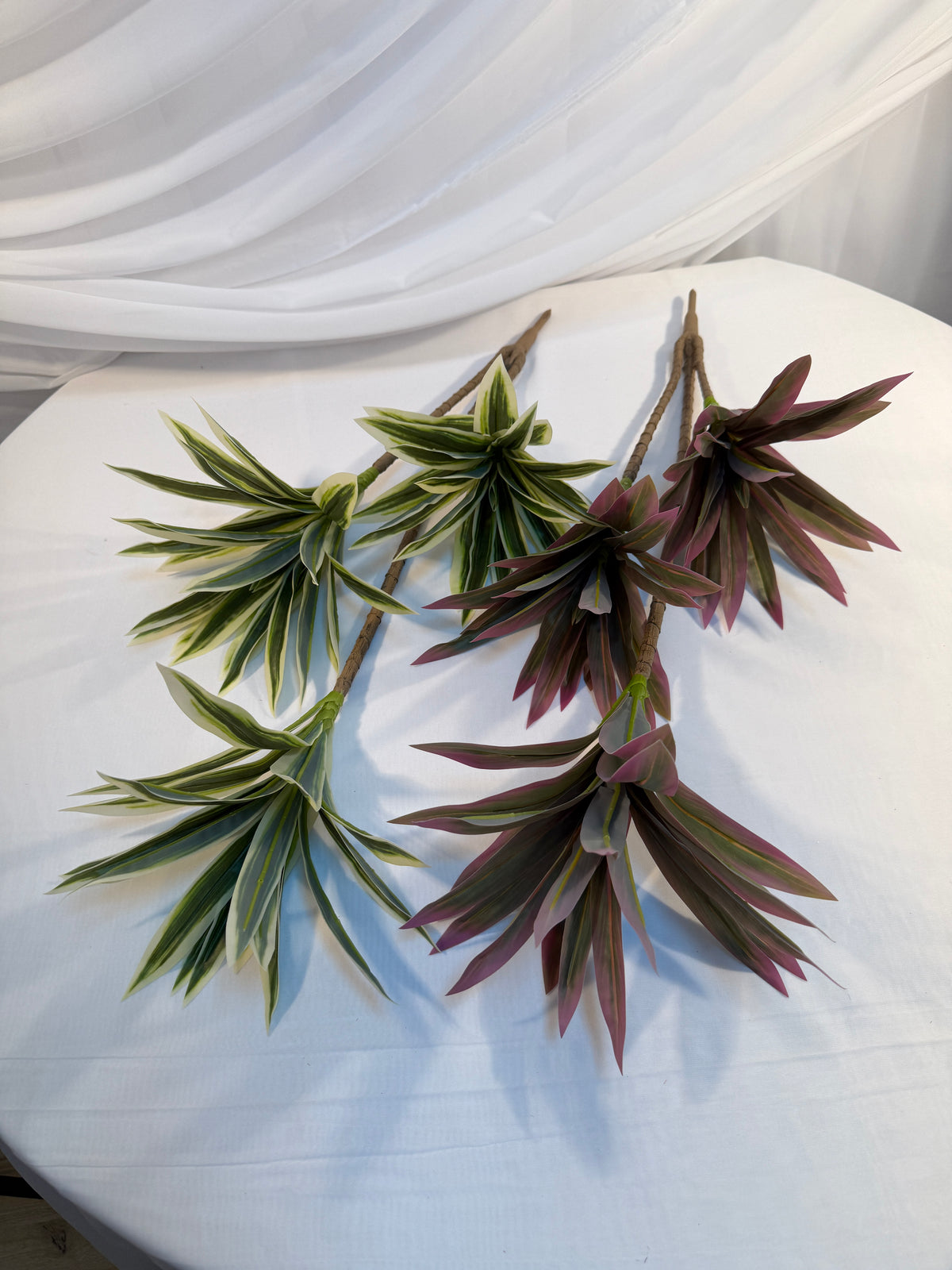 Buchet Frunze Dracena