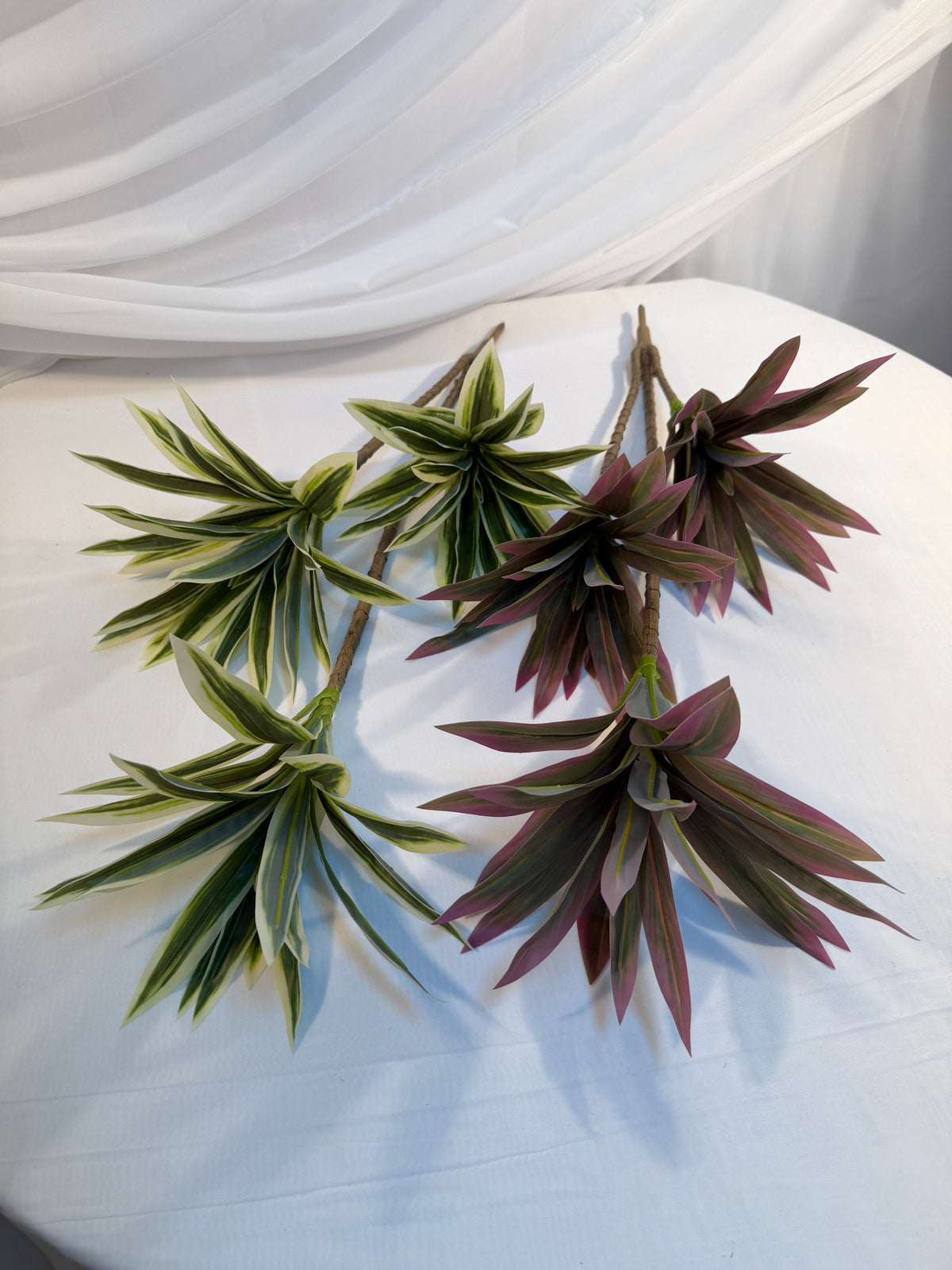 Buchet Frunze Dracena