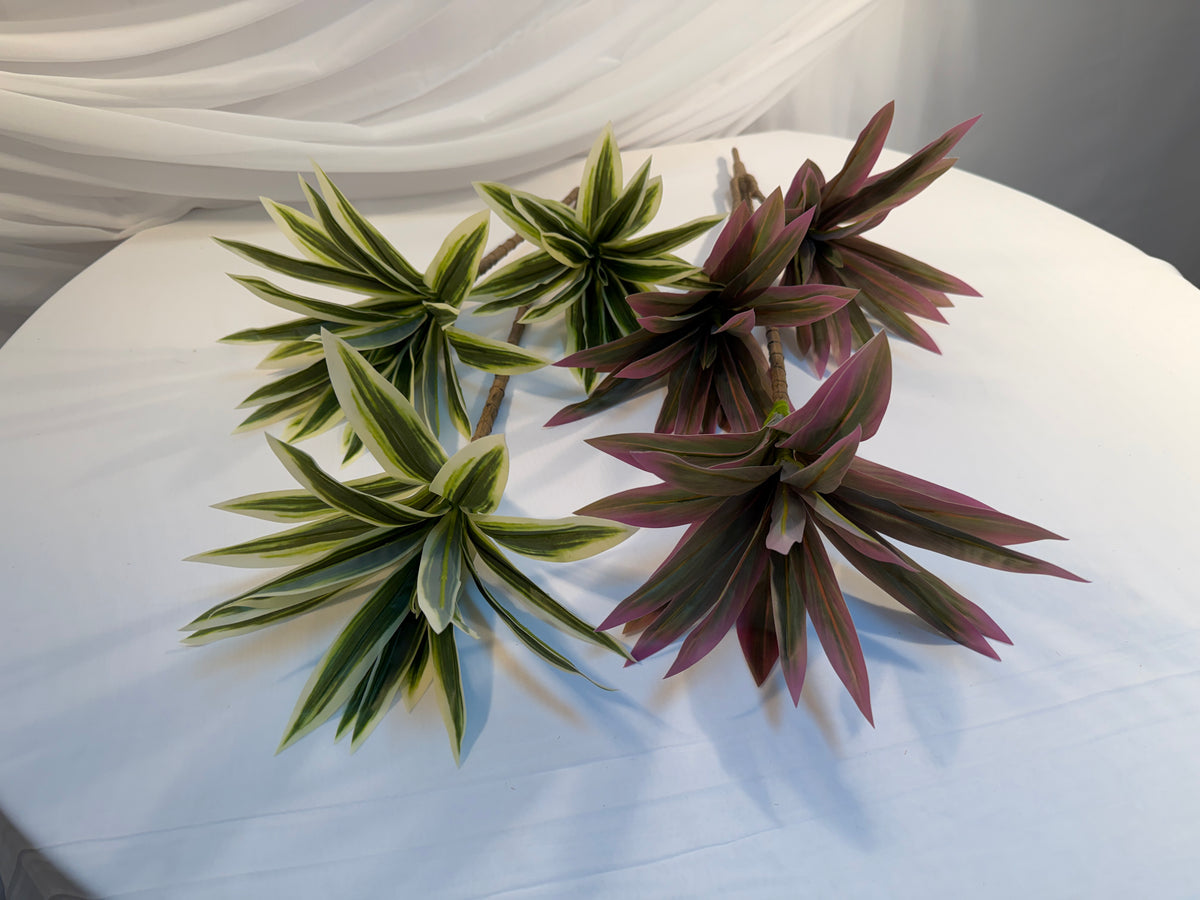 Buchet Frunze Dracena
