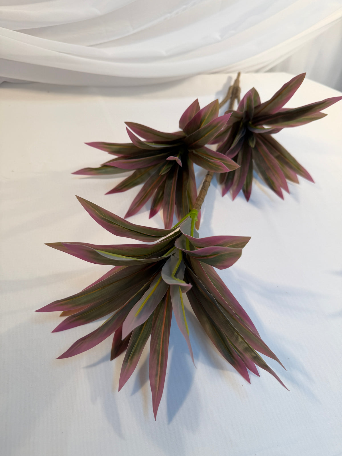 Buchet Frunze Dracena
