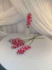 Orhidee 8 Flori Roz Deschis
