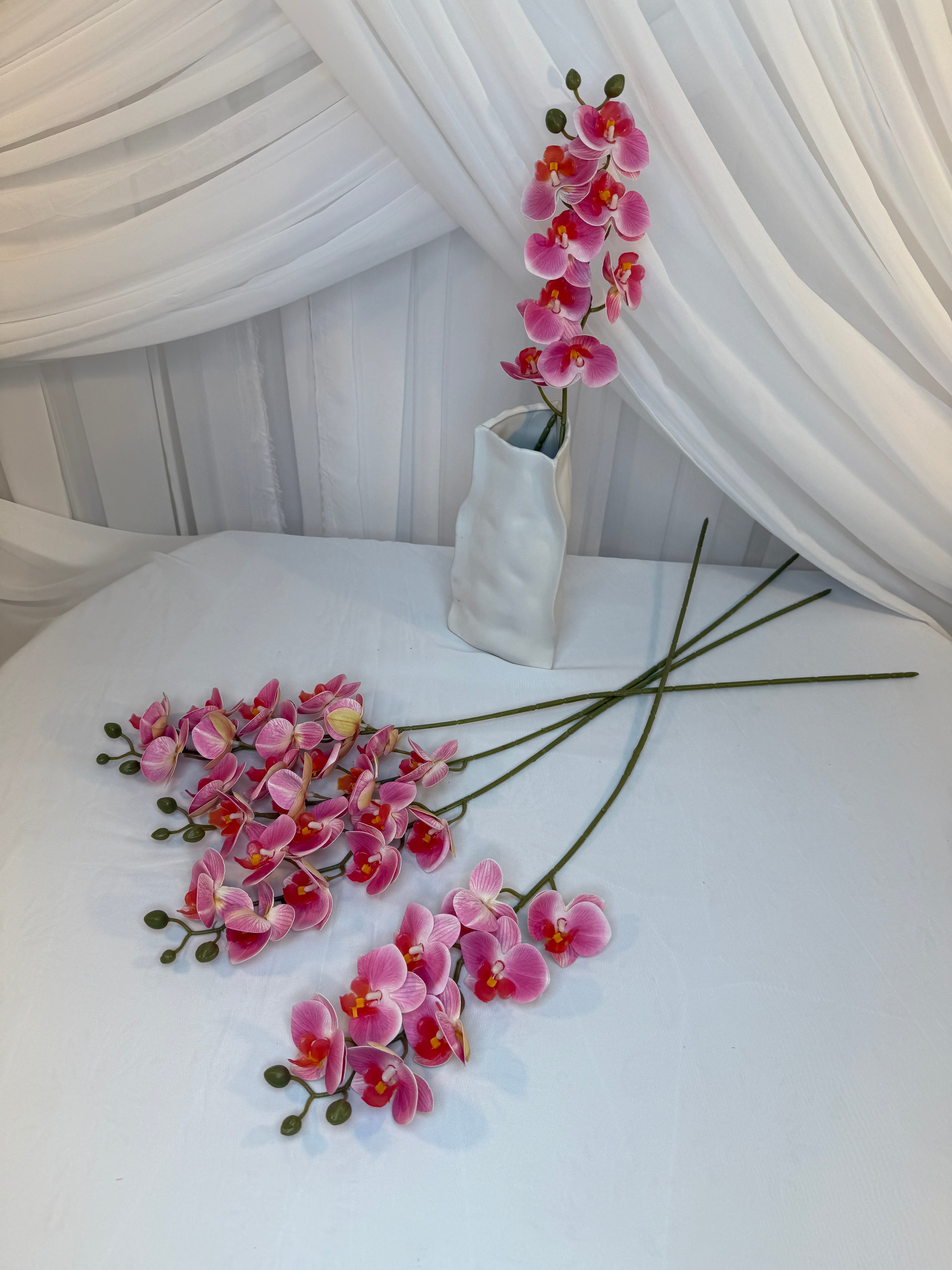 Orhidee 8 Flori Roz Deschis